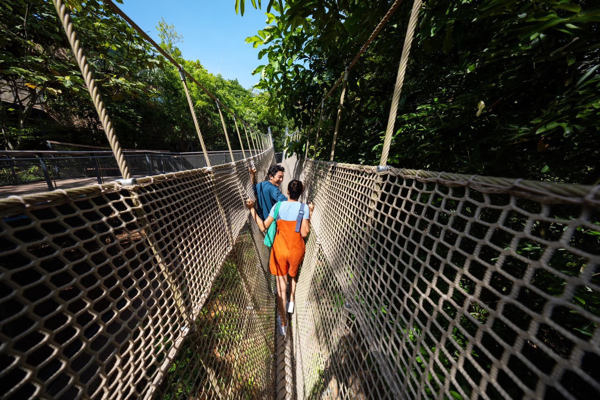 Rainforest Wild Adventure Ticket - تصویر 3