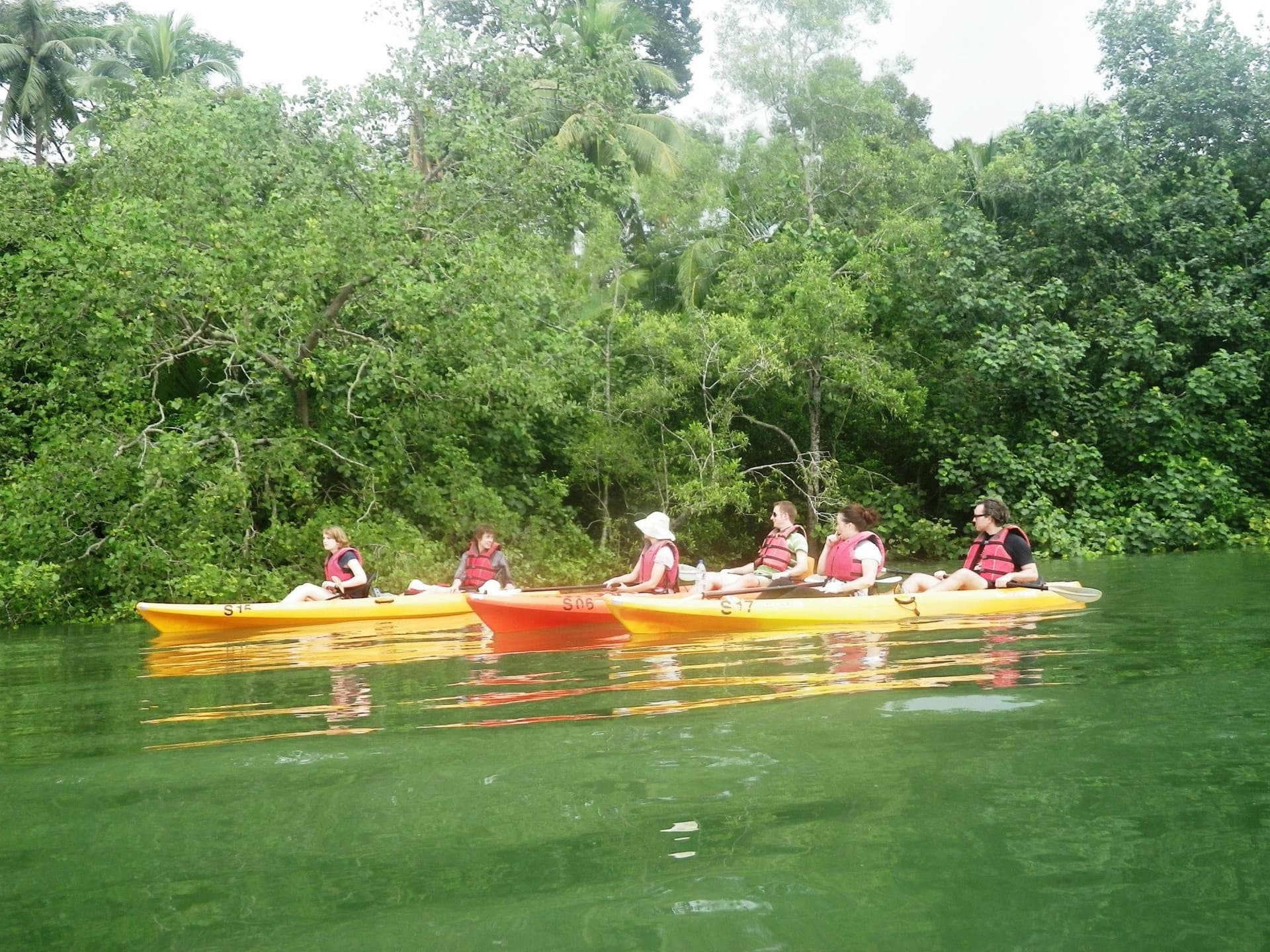 Pulau Ubin Kayaking - تصویر 5