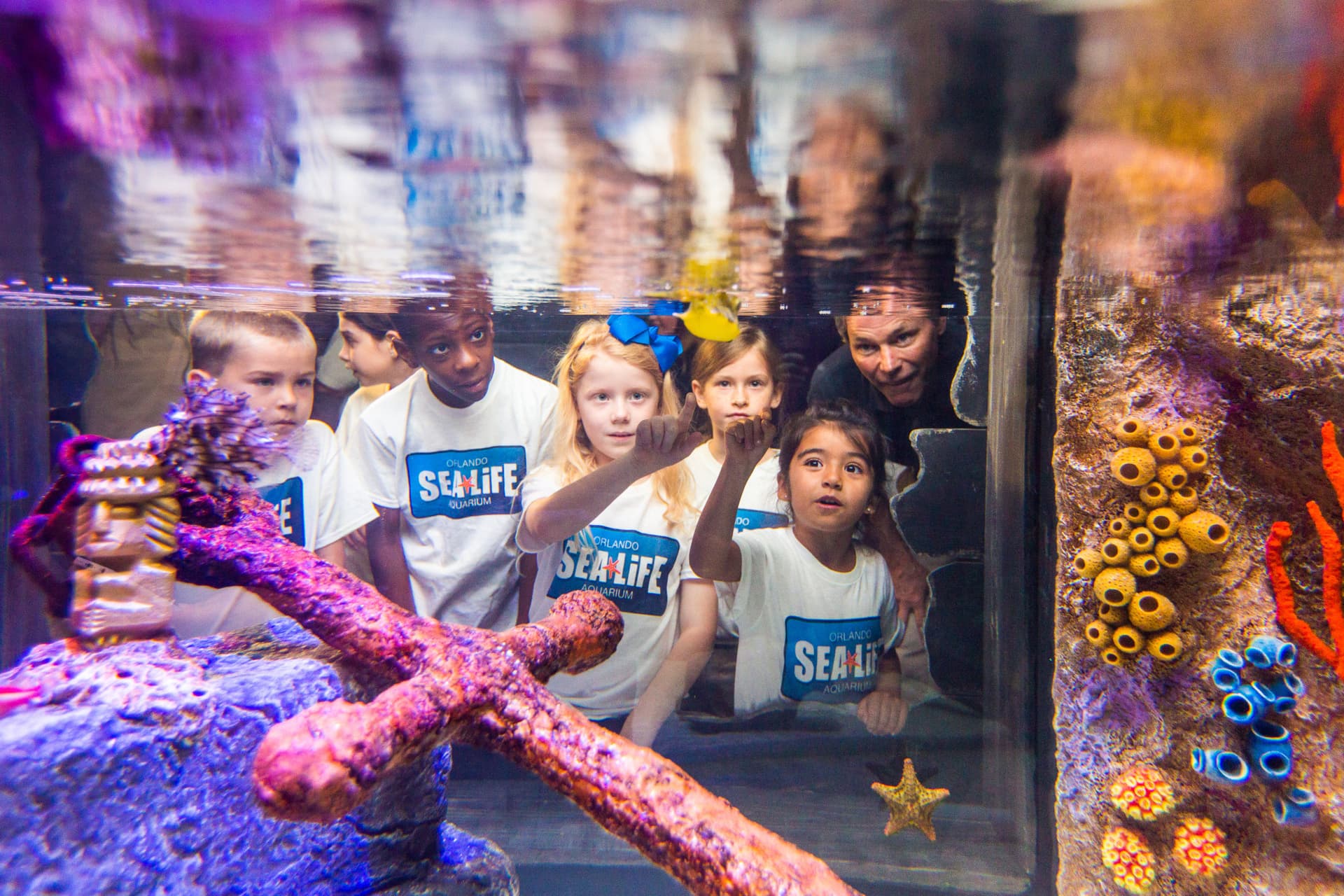 Go City Orlando Explorer Pass: Save up to 50% on Attractions - تصویر 24