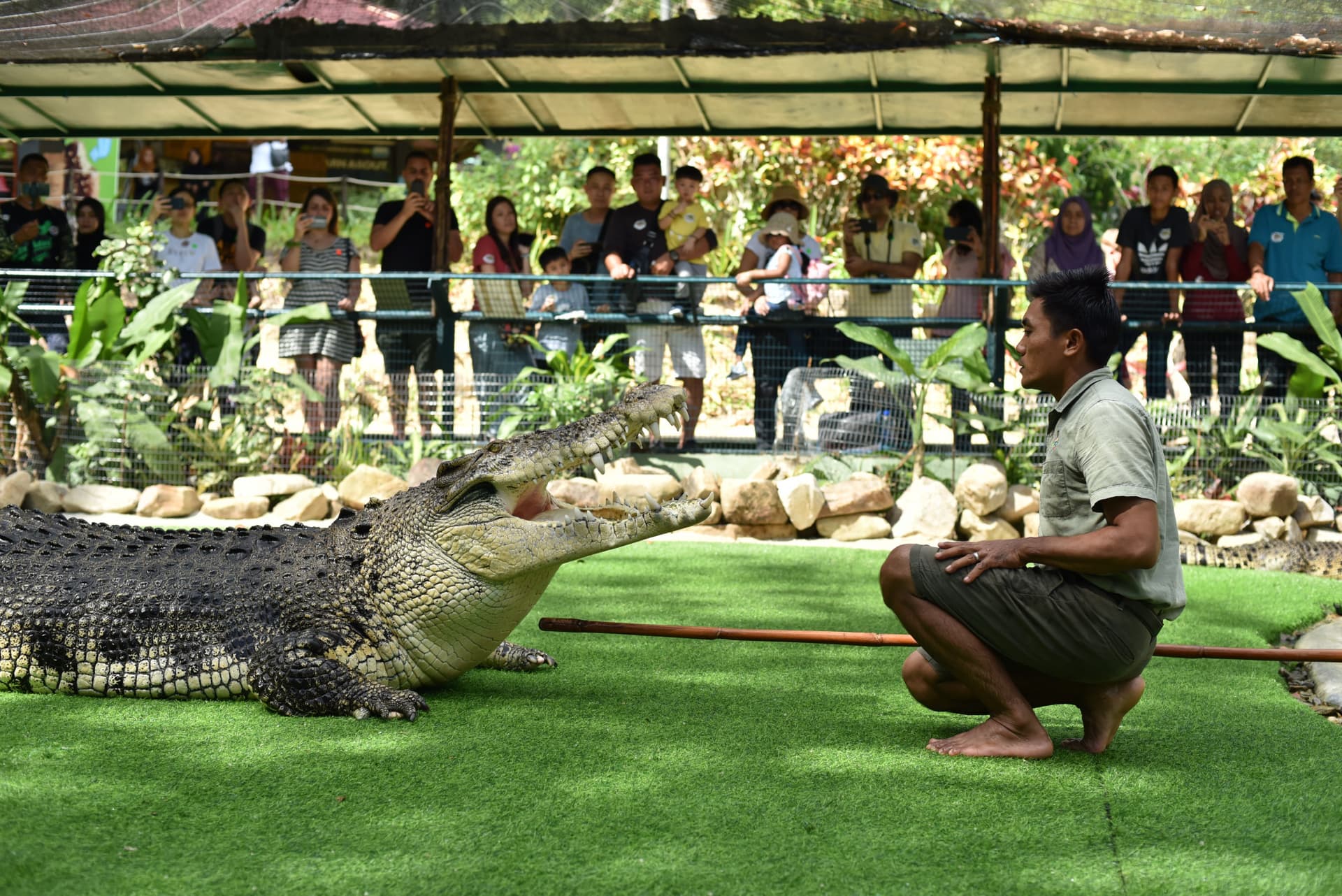 Crocodile Adventureland Langkawi - تصویر 10