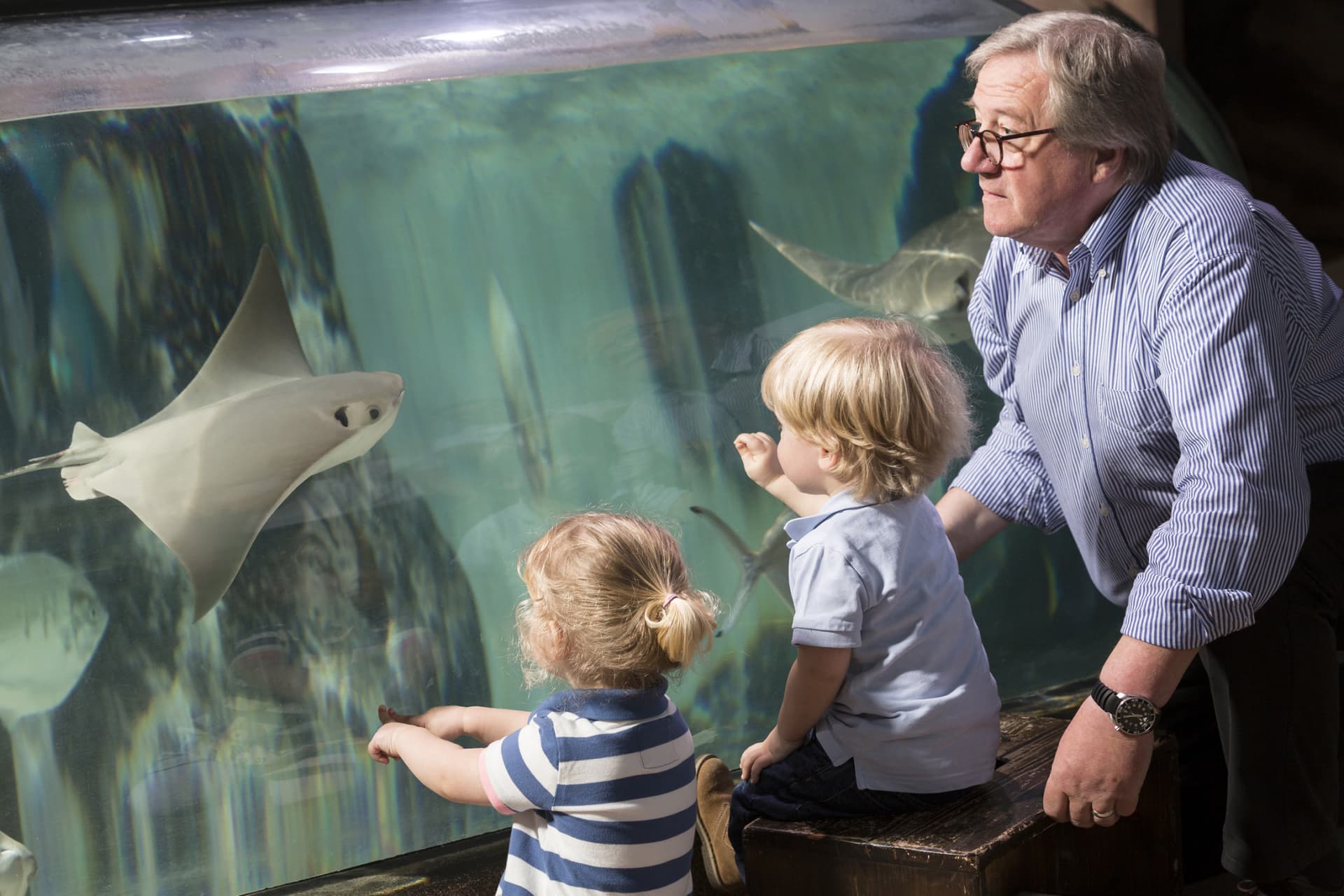 SEA LIFE Hannover Aquarium Ticket - تصویر 5
