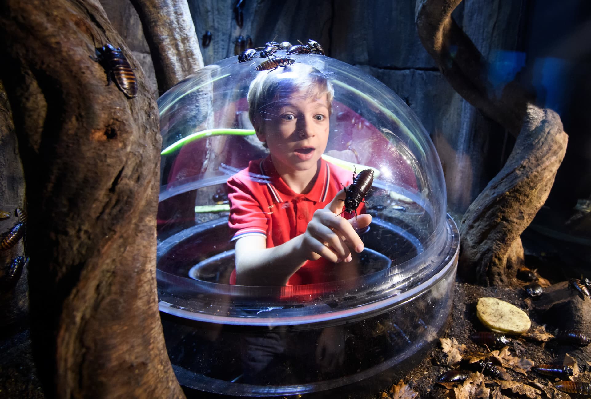 SEA LIFE London Aquarium Ticket - تصویر 6