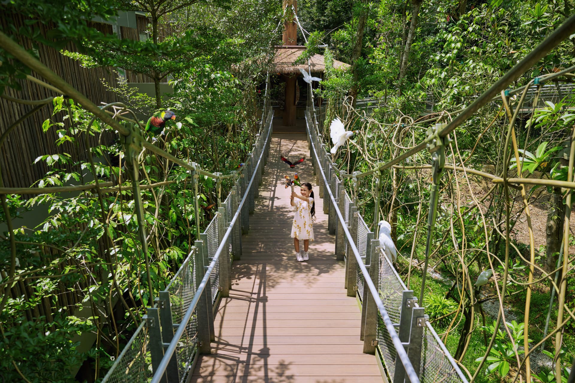 Singapore Bird Paradise Ticket - تصویر 7