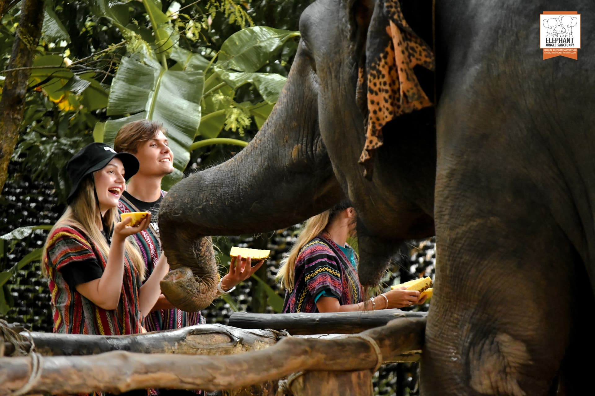 Elephant Jungle Sanctuary Phuket - تصویر اصلی