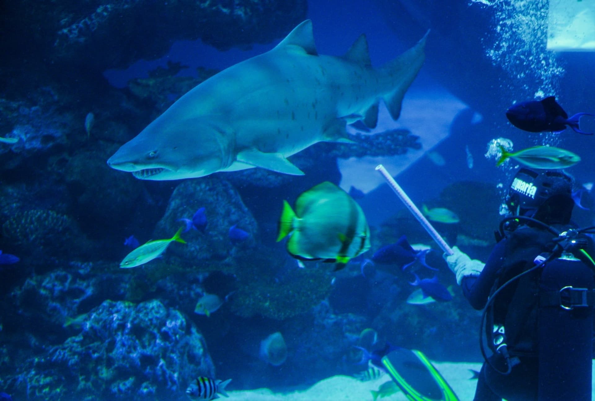 Aquaria Phuket - تصویر 22