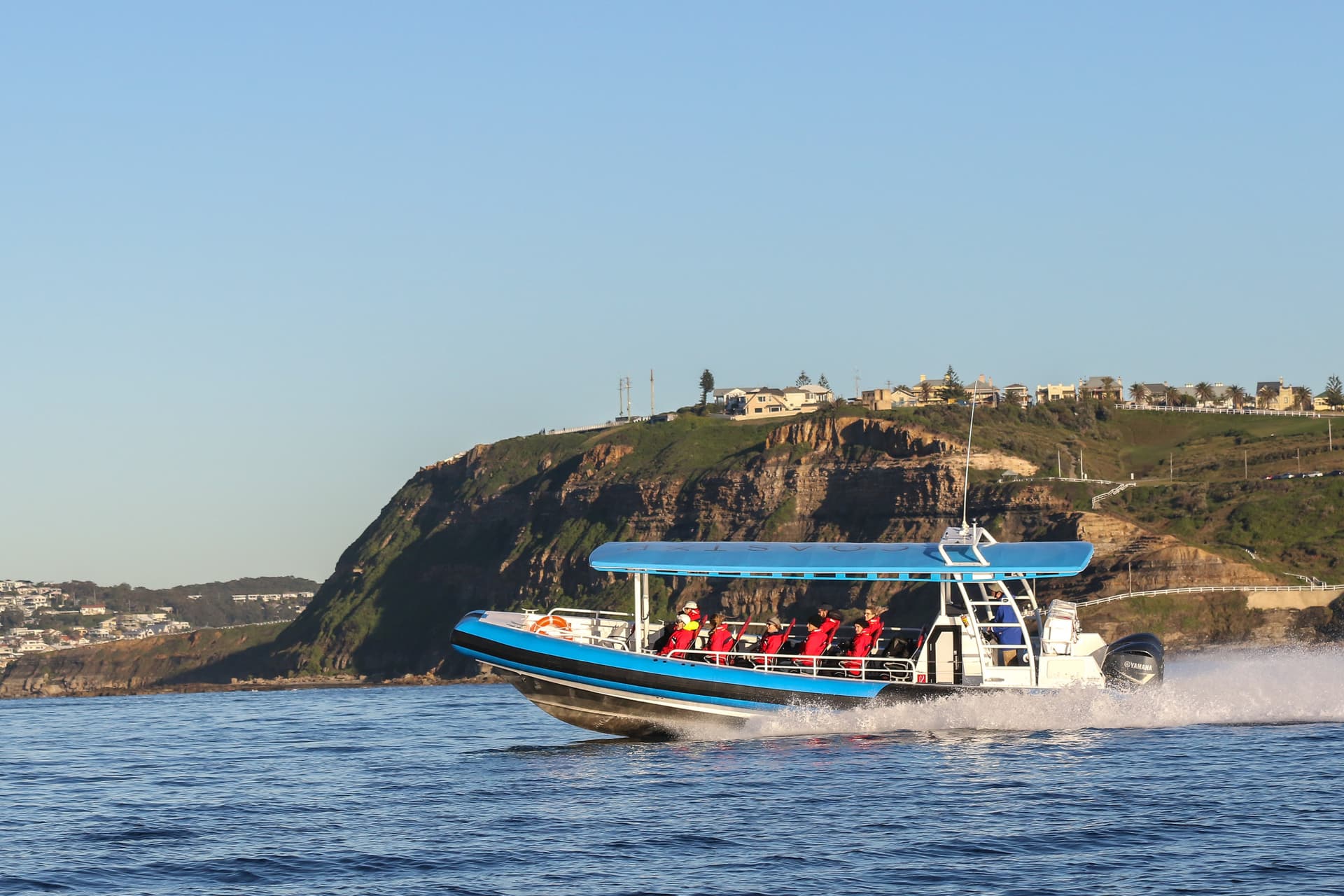 Newcastle Whale Watching Cruise aboard CoastXP - تصویر 5
