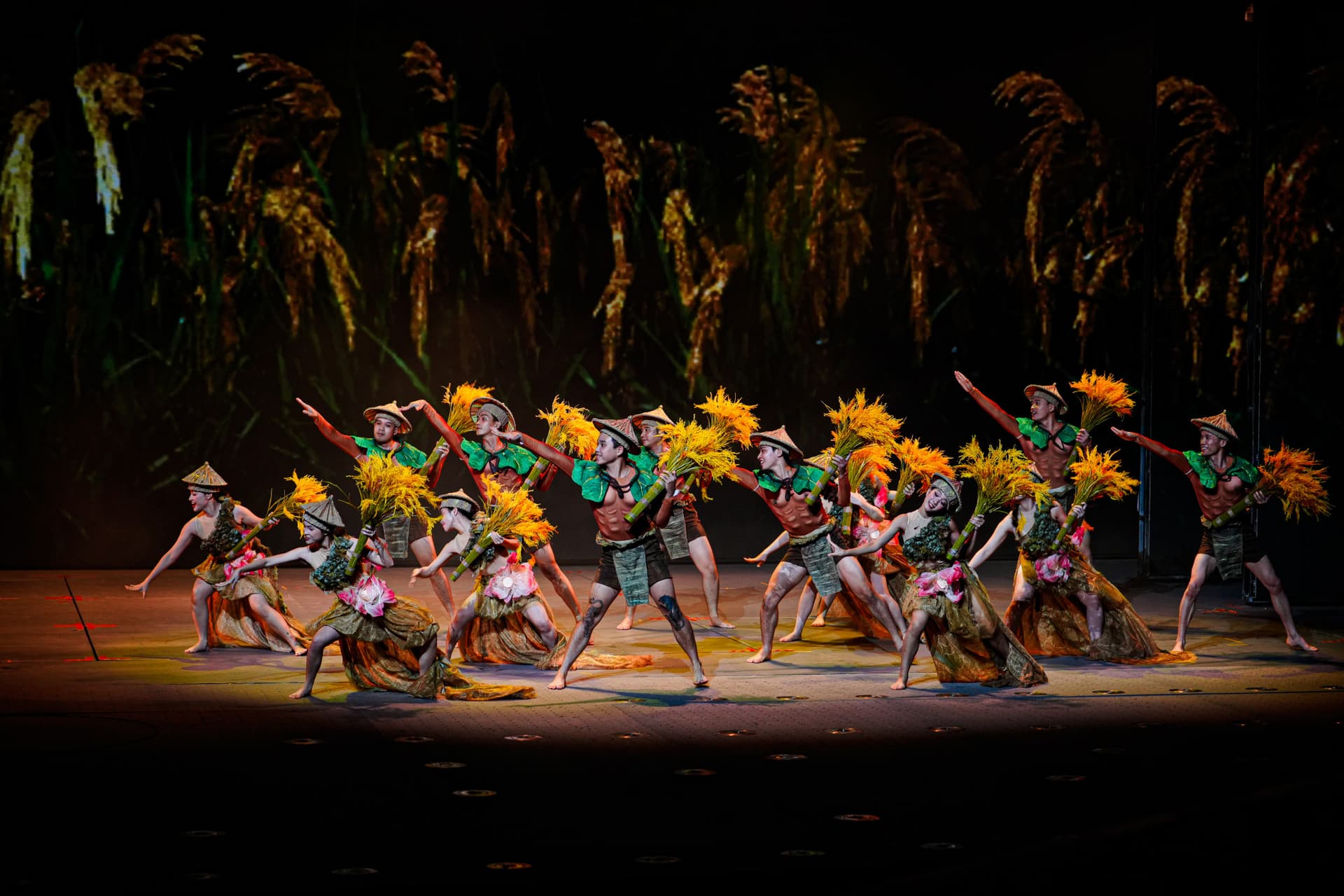 The Grand Epic of Vietnam (Đất Nước Thiên Hùng Ca) Show Ticket - تصویر 3