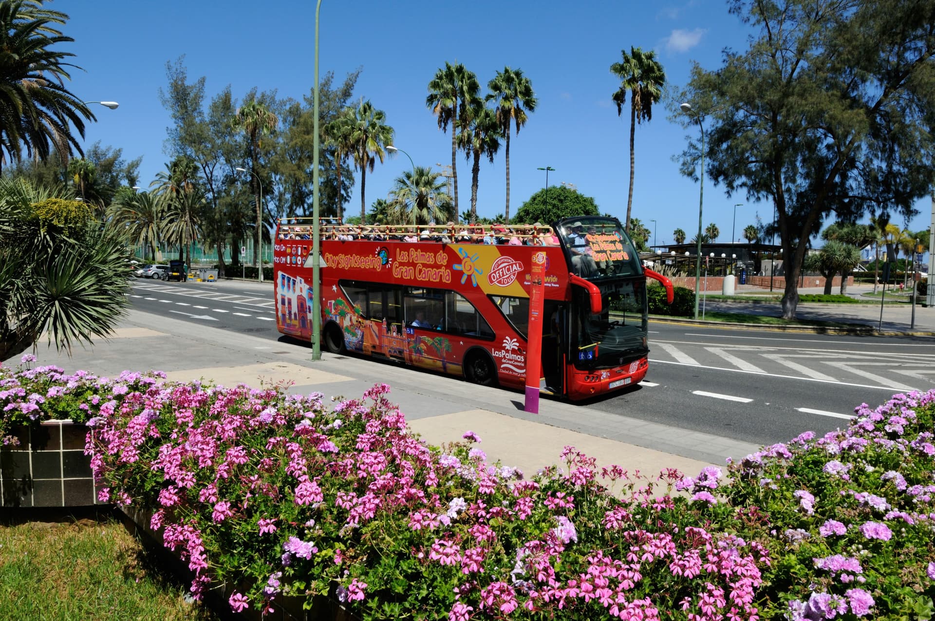 City Sightseeing Las Palmas de Gran Canaria Hop-on Hop-off Bus Tour - تصویر 5
