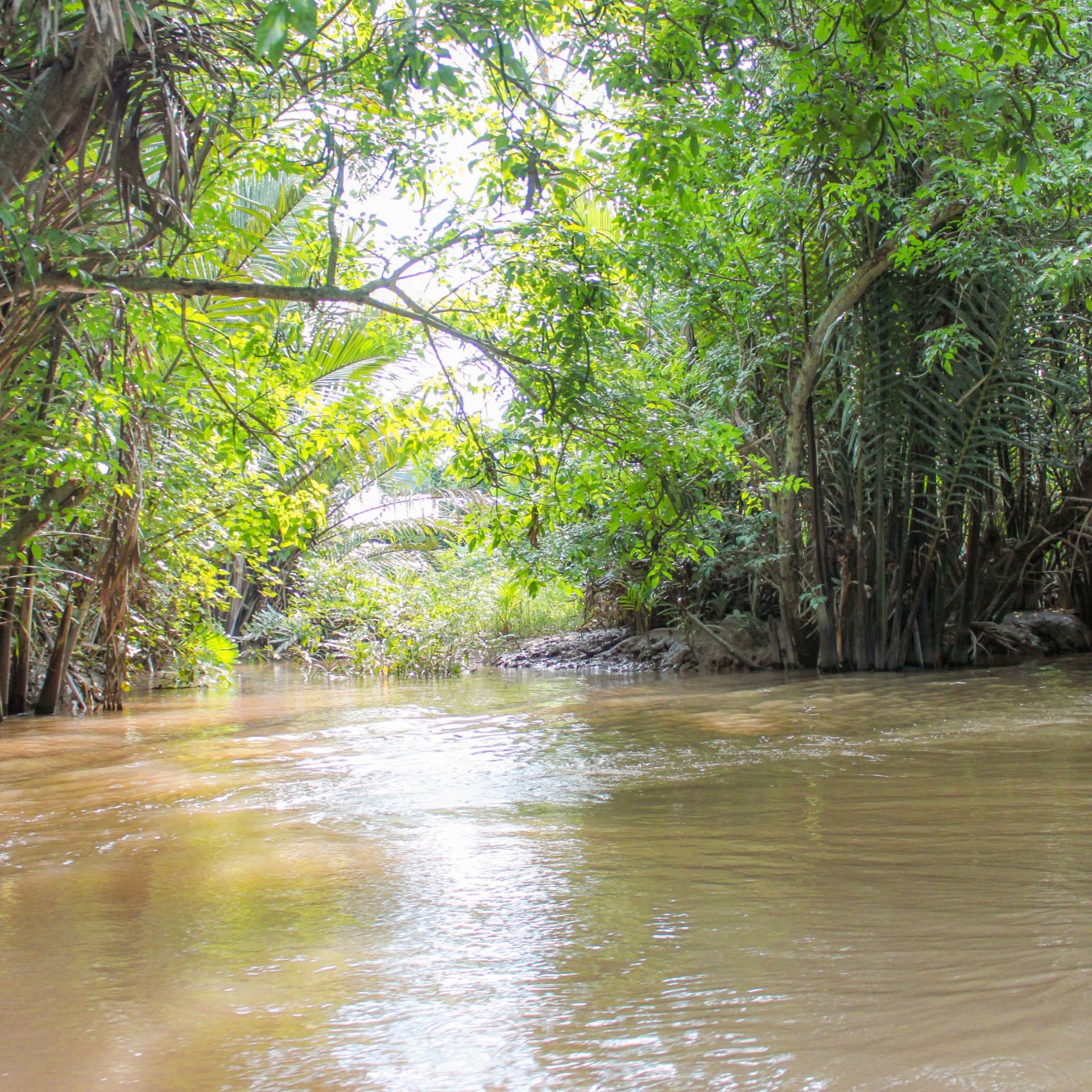 Cu Chi Tunnels and Mekong Delta Full-Day Tour from Ho Chi Minh - تصویر 15