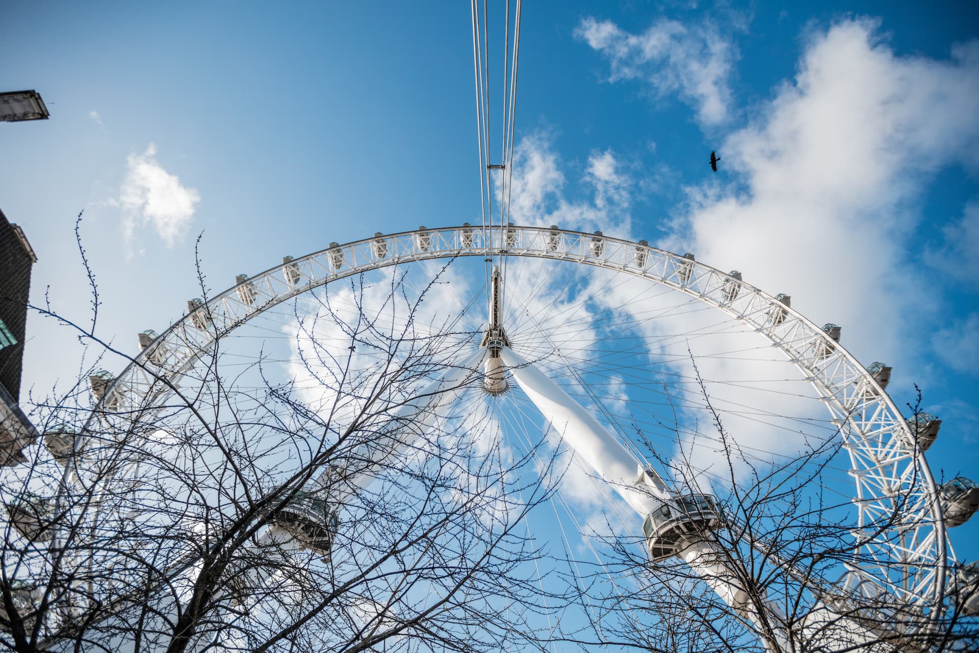 COMBO: London Eye + The London Dungeon Ticket - تصویر 5