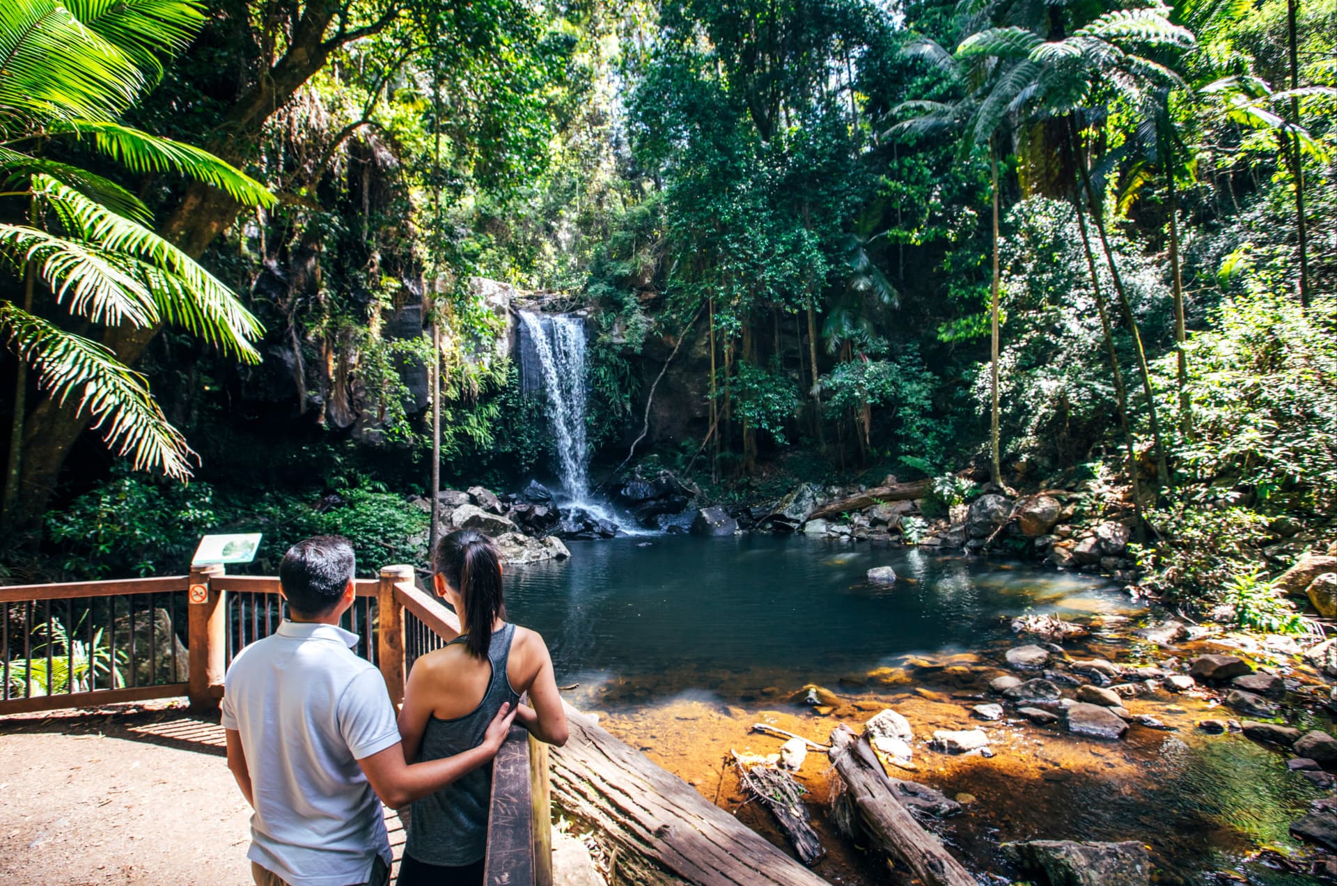 Kangaroos and Koalas Tour with Morning Tea from Gold Coast - تصویر 4