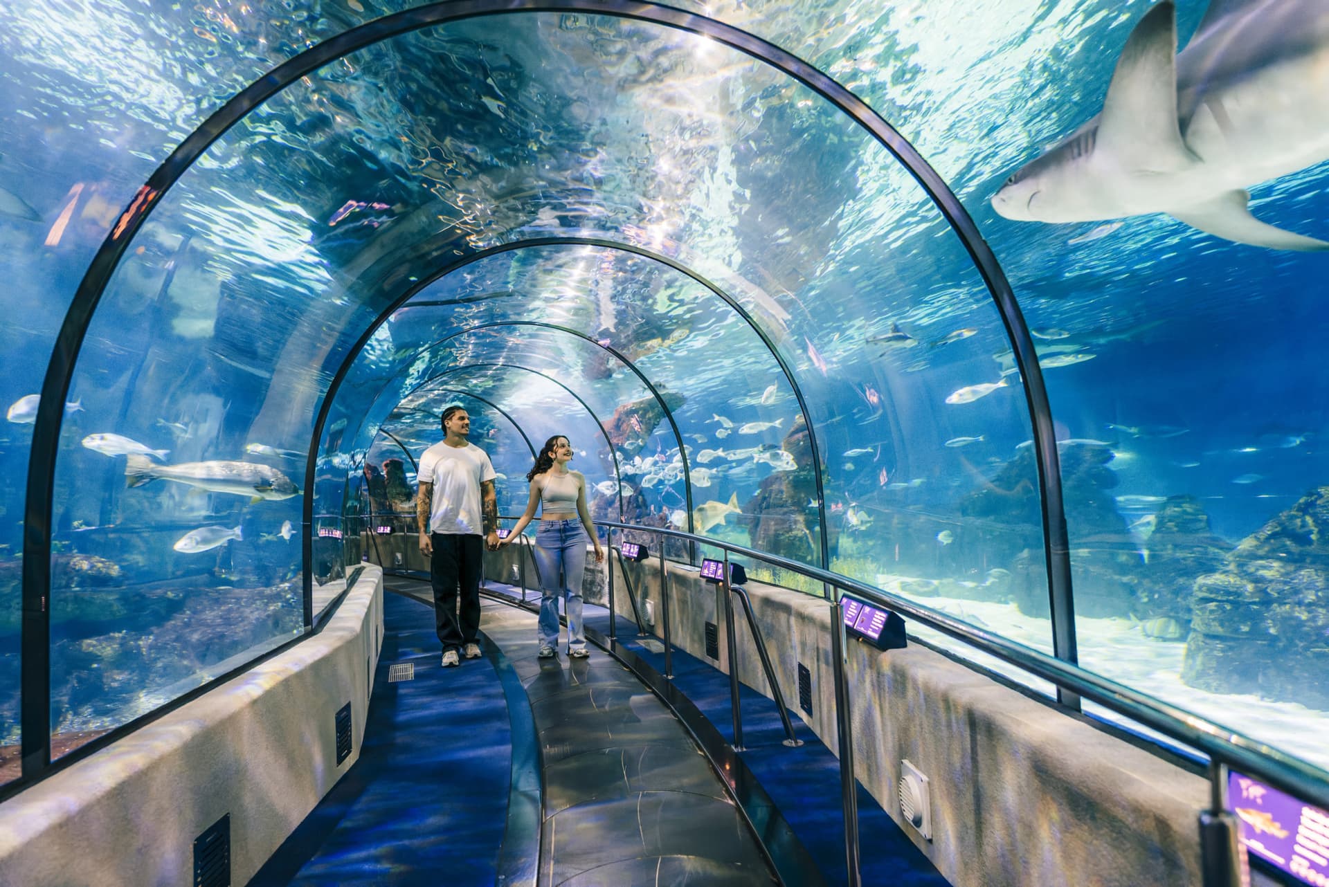Barcelona Aquarium Ticket - تصویر 4