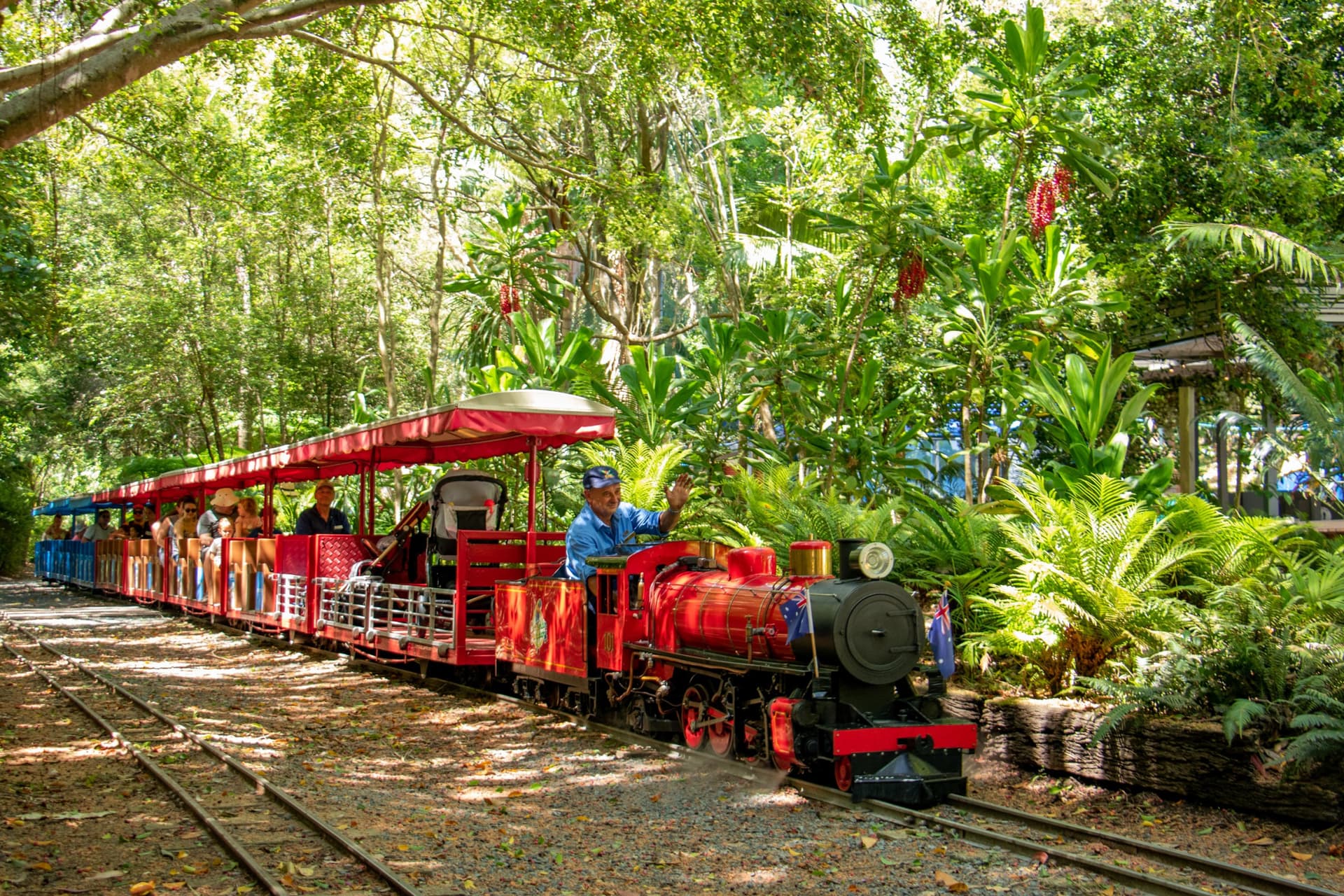 Currumbin Wildlife Sanctuary Gold Coast Ticket - تصویر 16