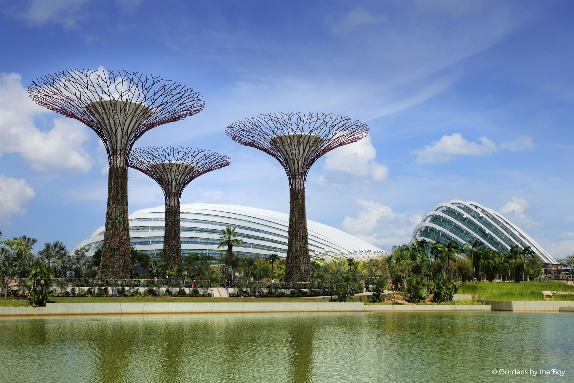 Gardens by the Bay Ticket - تصویر 13