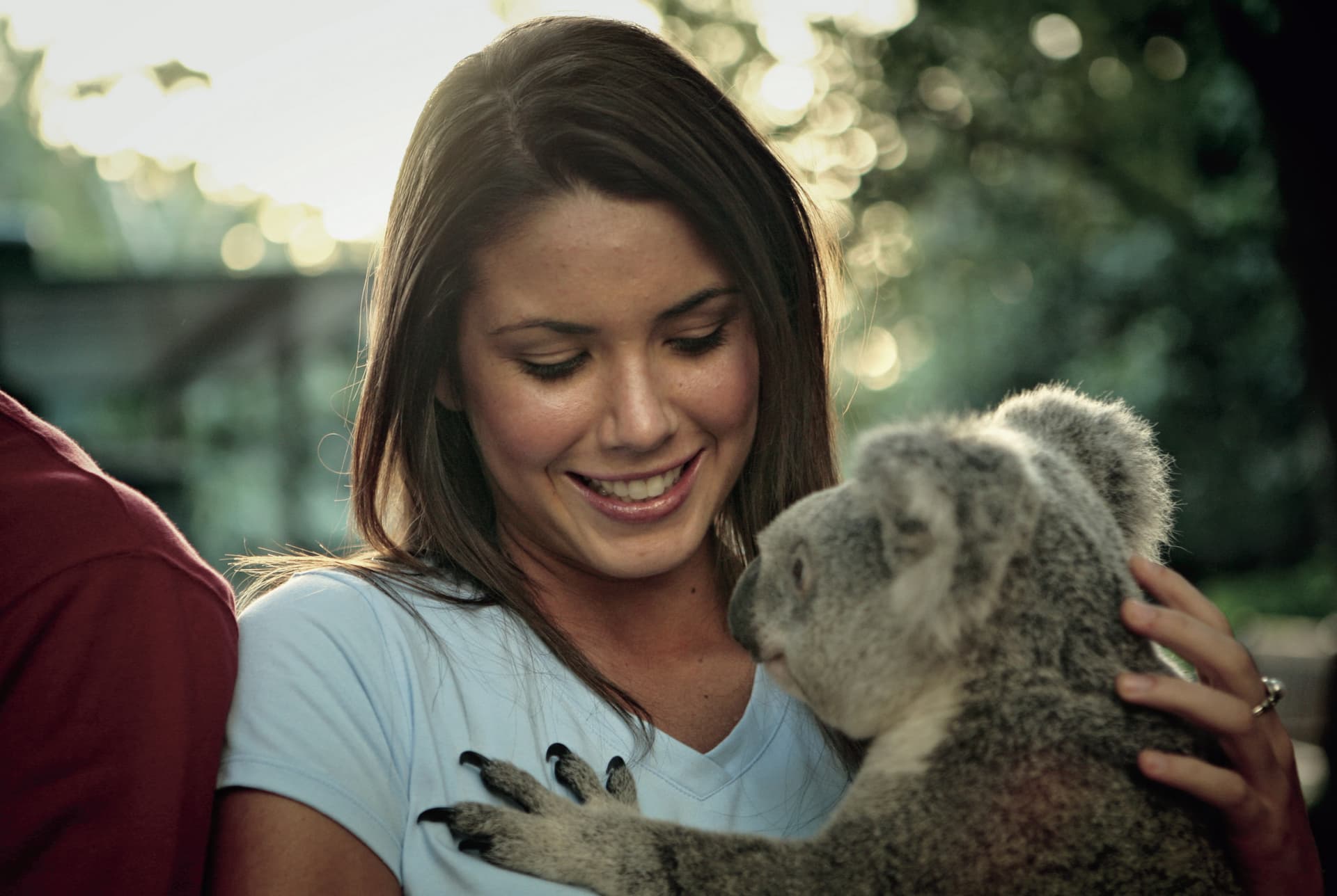 Currumbin Wildlife Sanctuary Gold Coast Ticket - تصویر 3