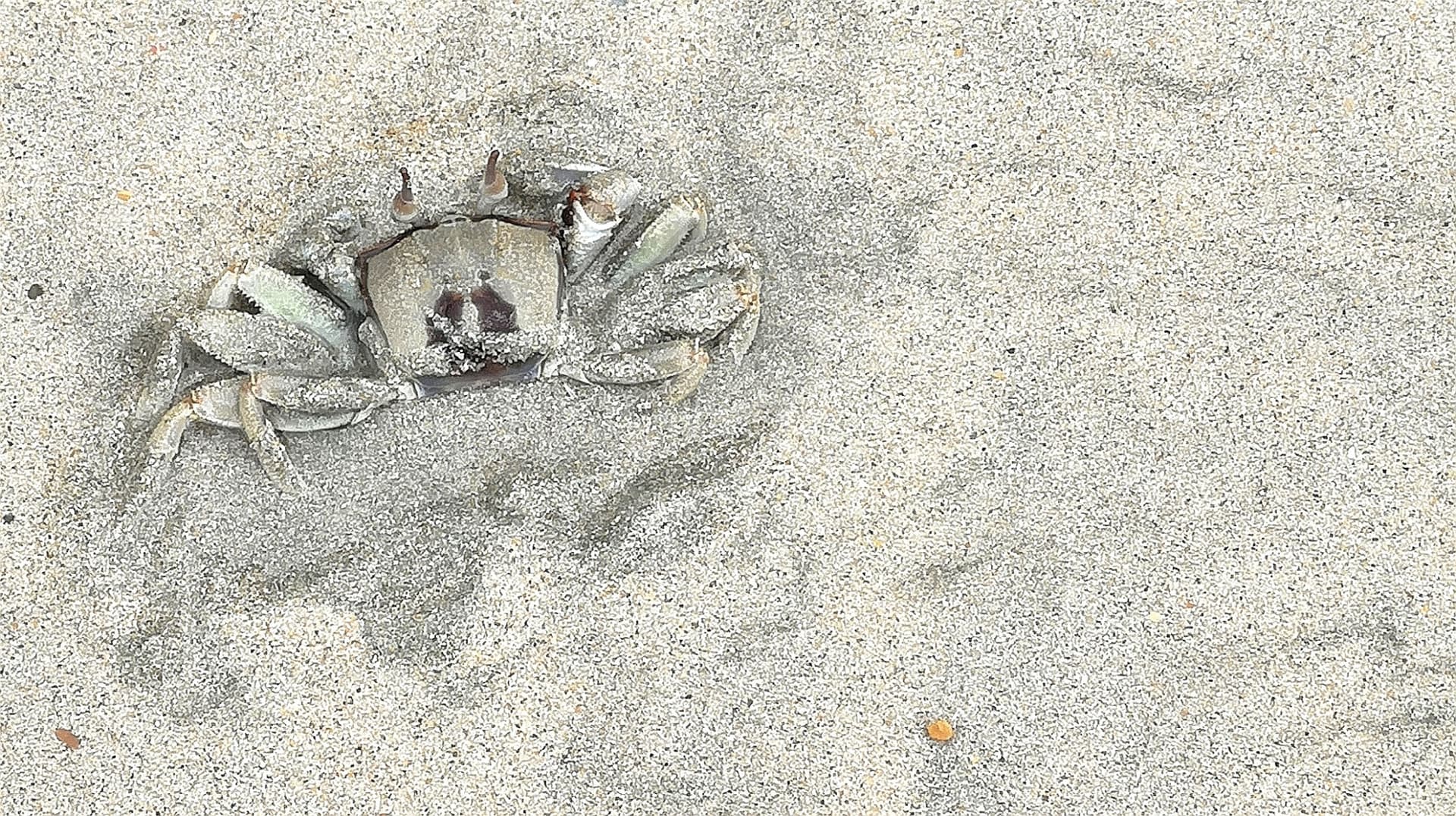 Desaru Beach and Tide Pool Walk - تصویر 3