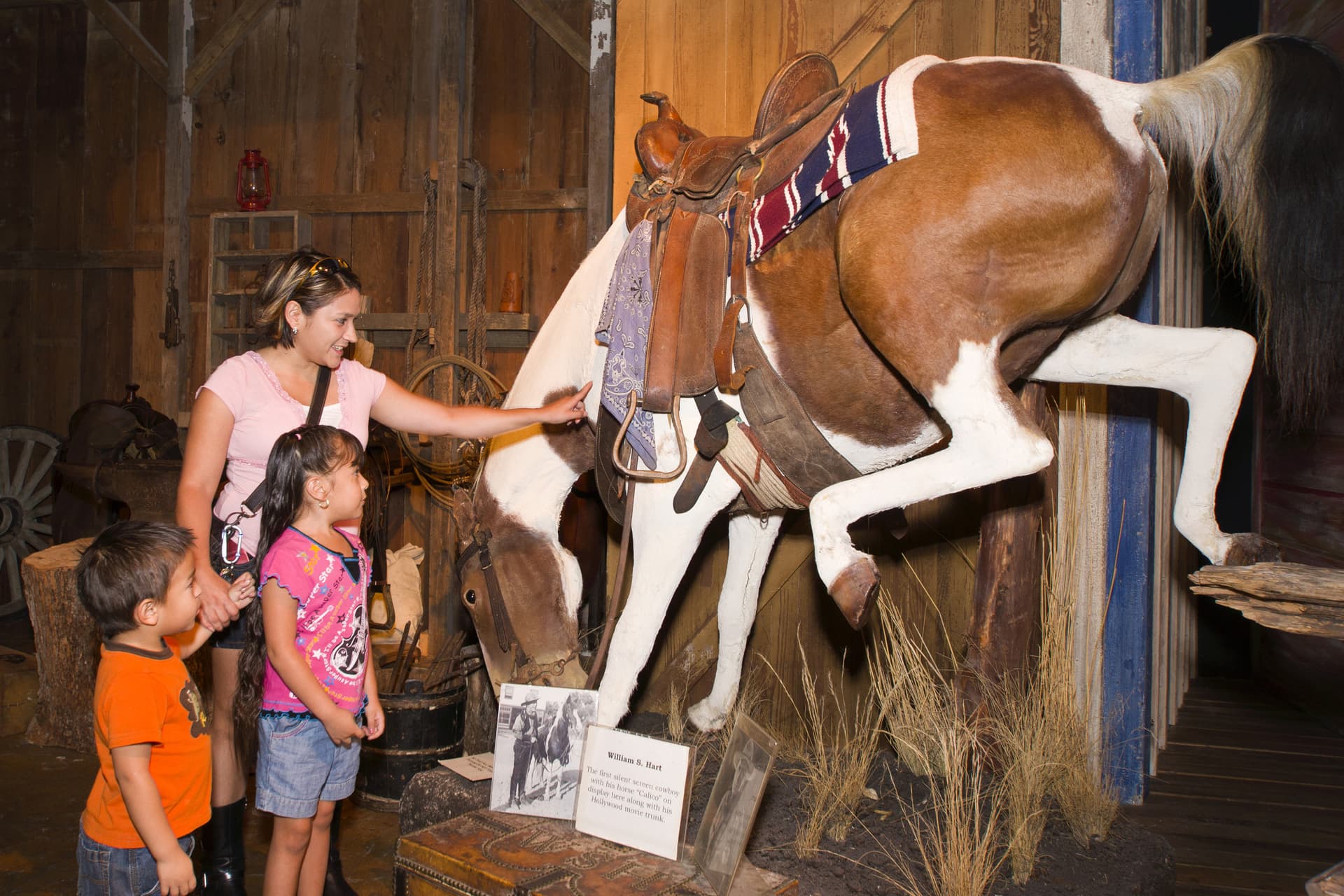 Go City San Antonio Highlights Pass: 3 Attractions - تصویر 13