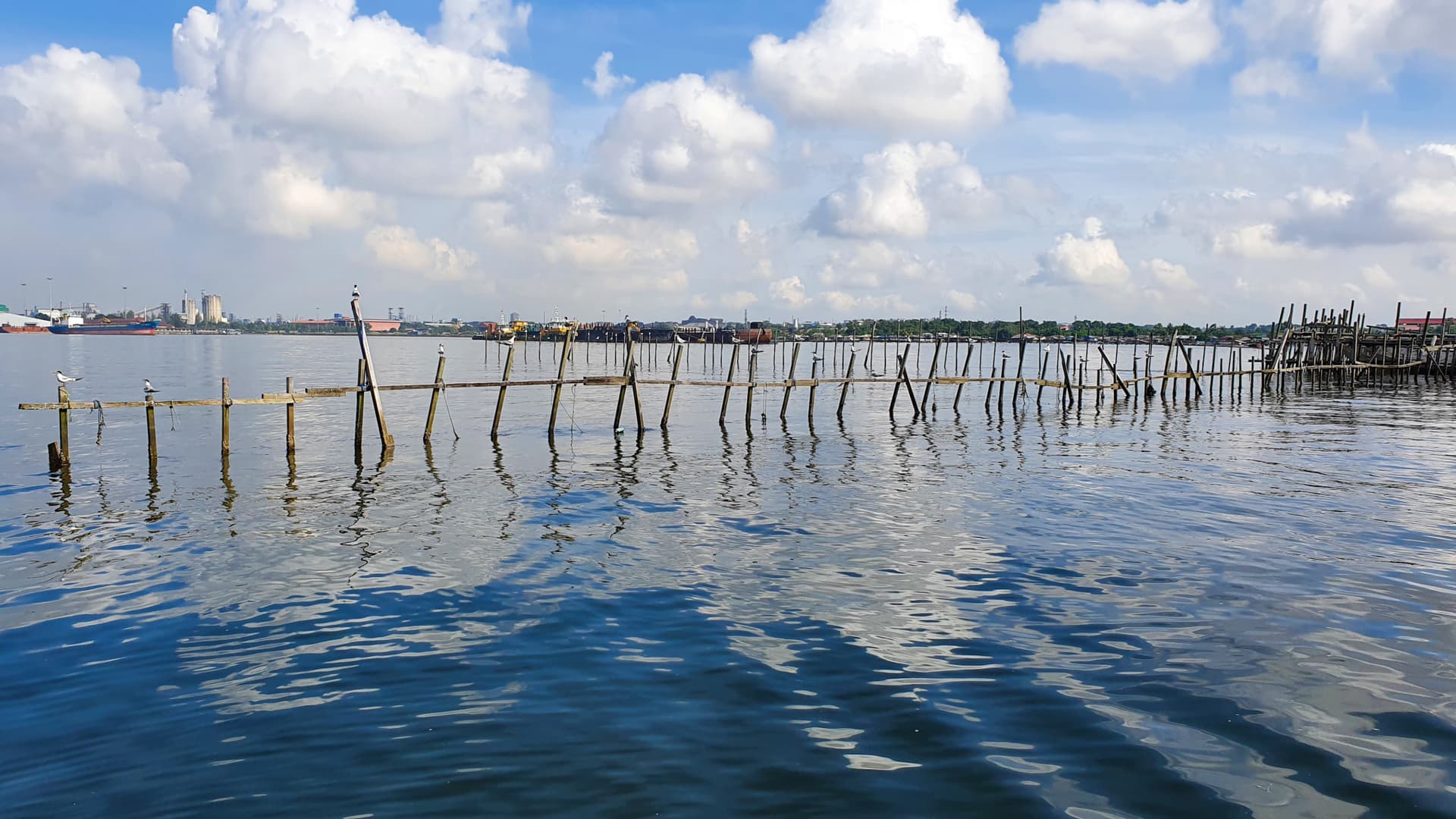 Kelong and Pulau Ubin Boat Tour - تصویر 4