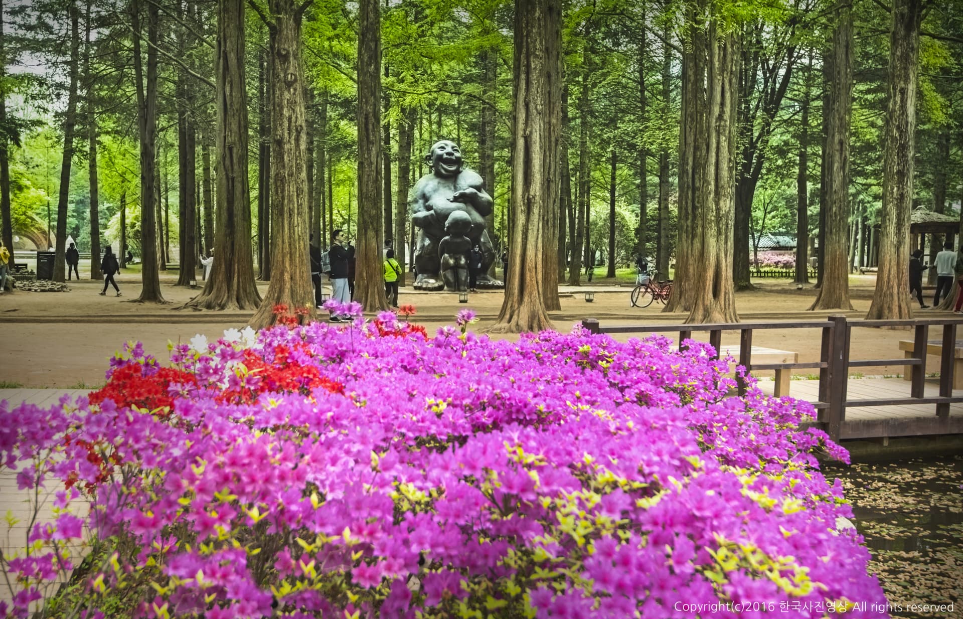 Nami Island, Petite France, and Italian Village Tour from Seoul - تصویر اصلی
