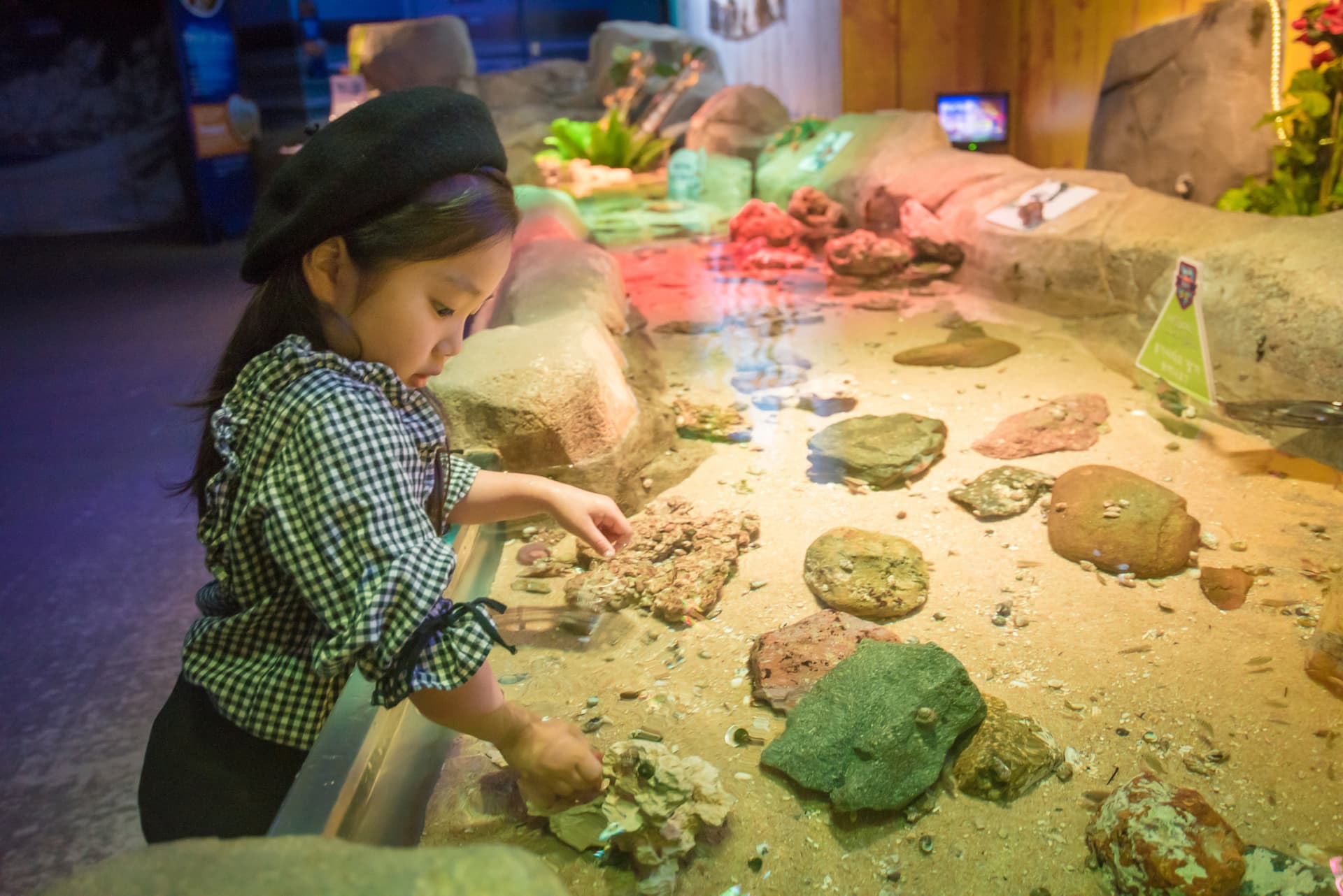 SEA LIFE Busan Aquarium Ticket - تصویر 5