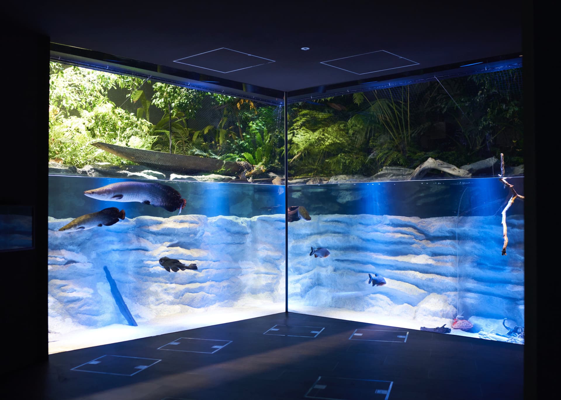 Kawasaki Aquarium Ticket - تصویر اصلی