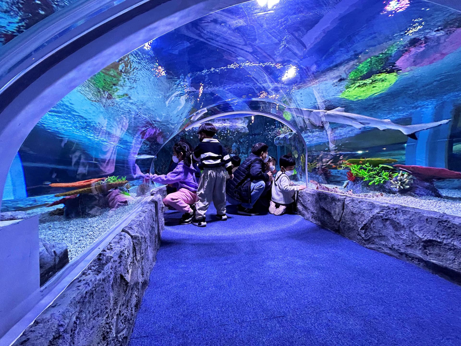 SEA LIFE Busan Aquarium Ticket - تصویر 3