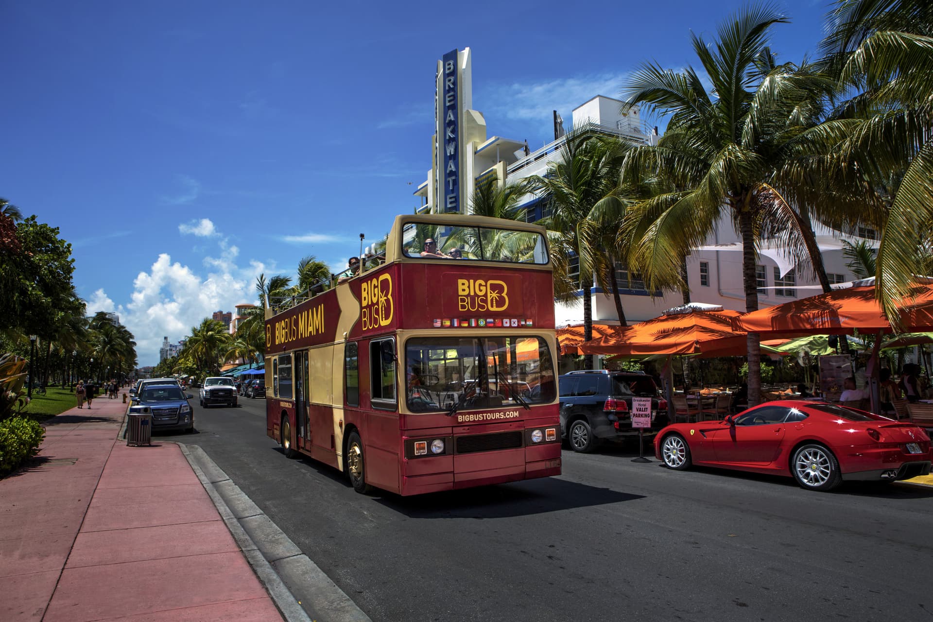 Big Bus Miami Hop-on Hop-off Bus Tour - تصویر 2