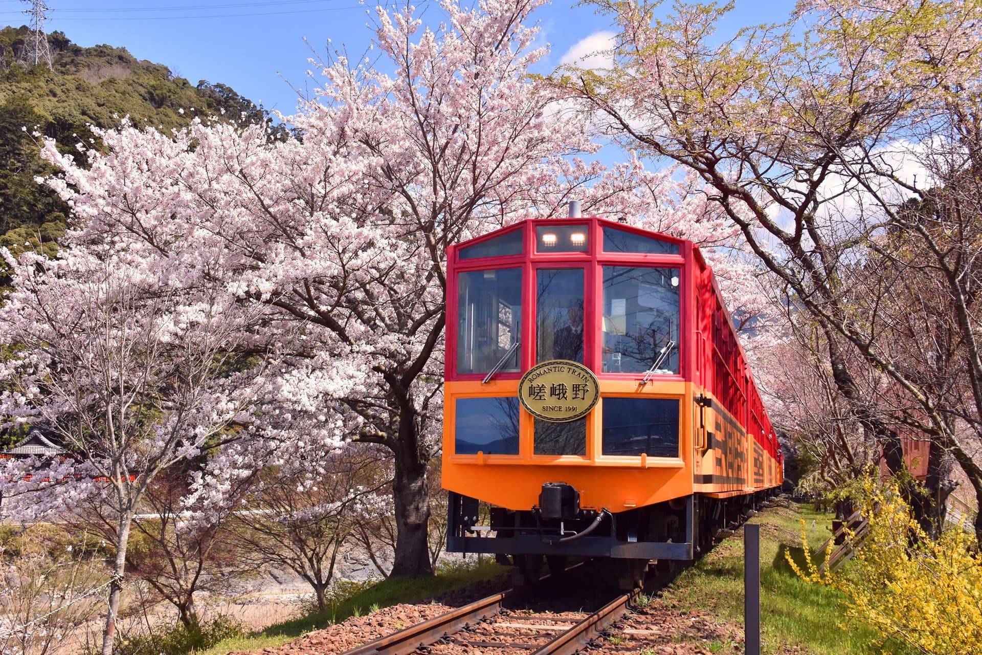Sagano Romantic Train - تصویر اصلی