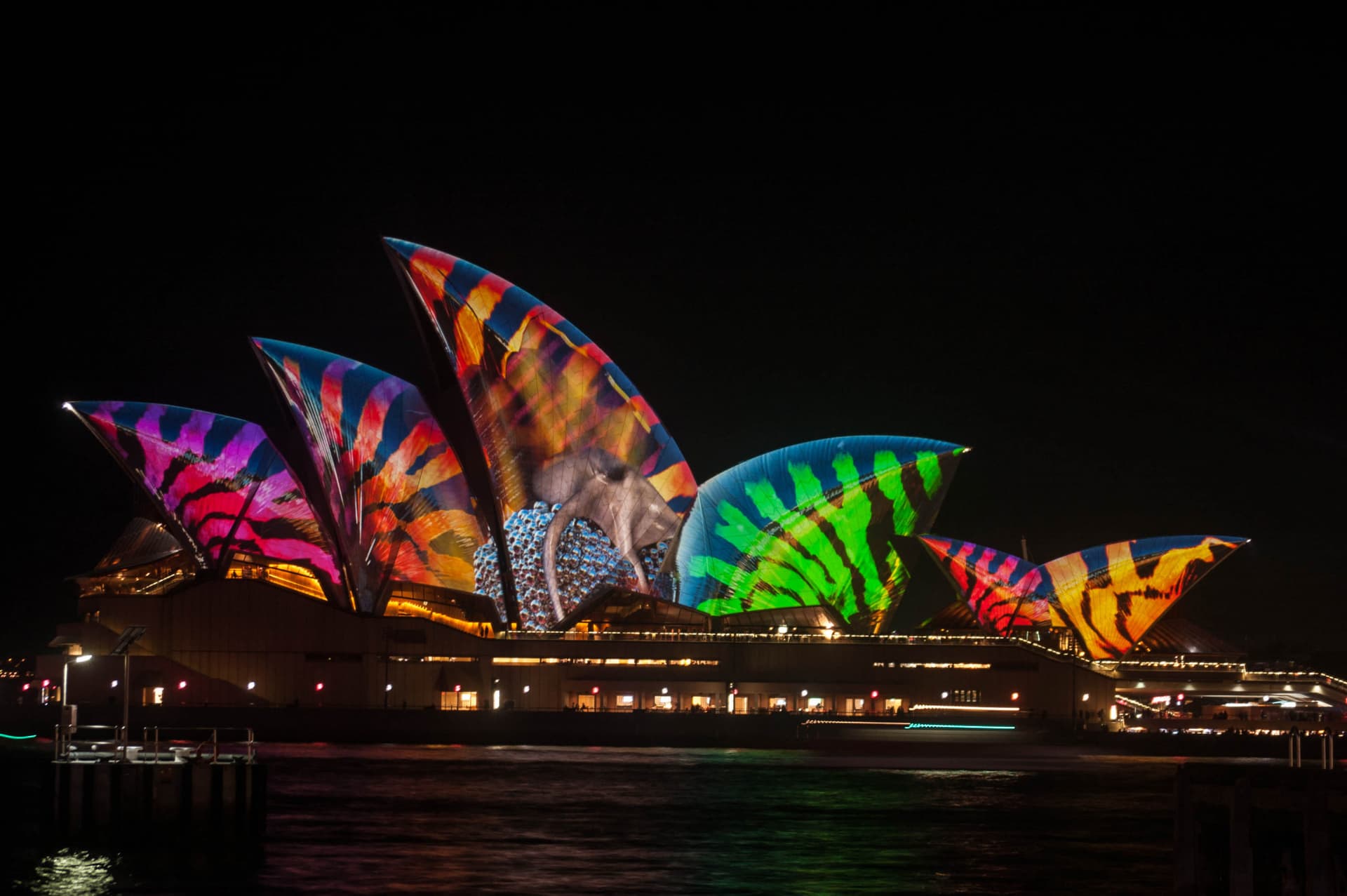 Vivid Festival of Light and Sound Cruise with Buffet Dinner aboard Sydney Princess Cruises - تصویر 10