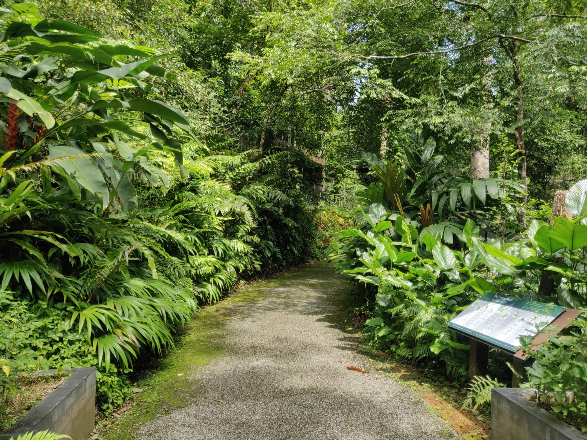 The Habitat Penang Hill Ticket - تصویر 20