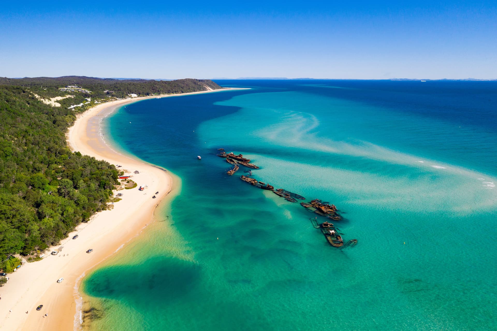 Tangalooma Wrecks & Dolphin Cruise Optional Round transfer from Brisbane City and Gold Coast - تصویر 12