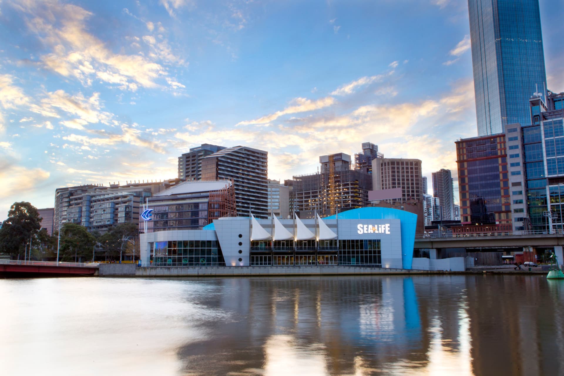 SEA LIFE Melbourne Aquarium Direct Entry Ticket - تصویر 19