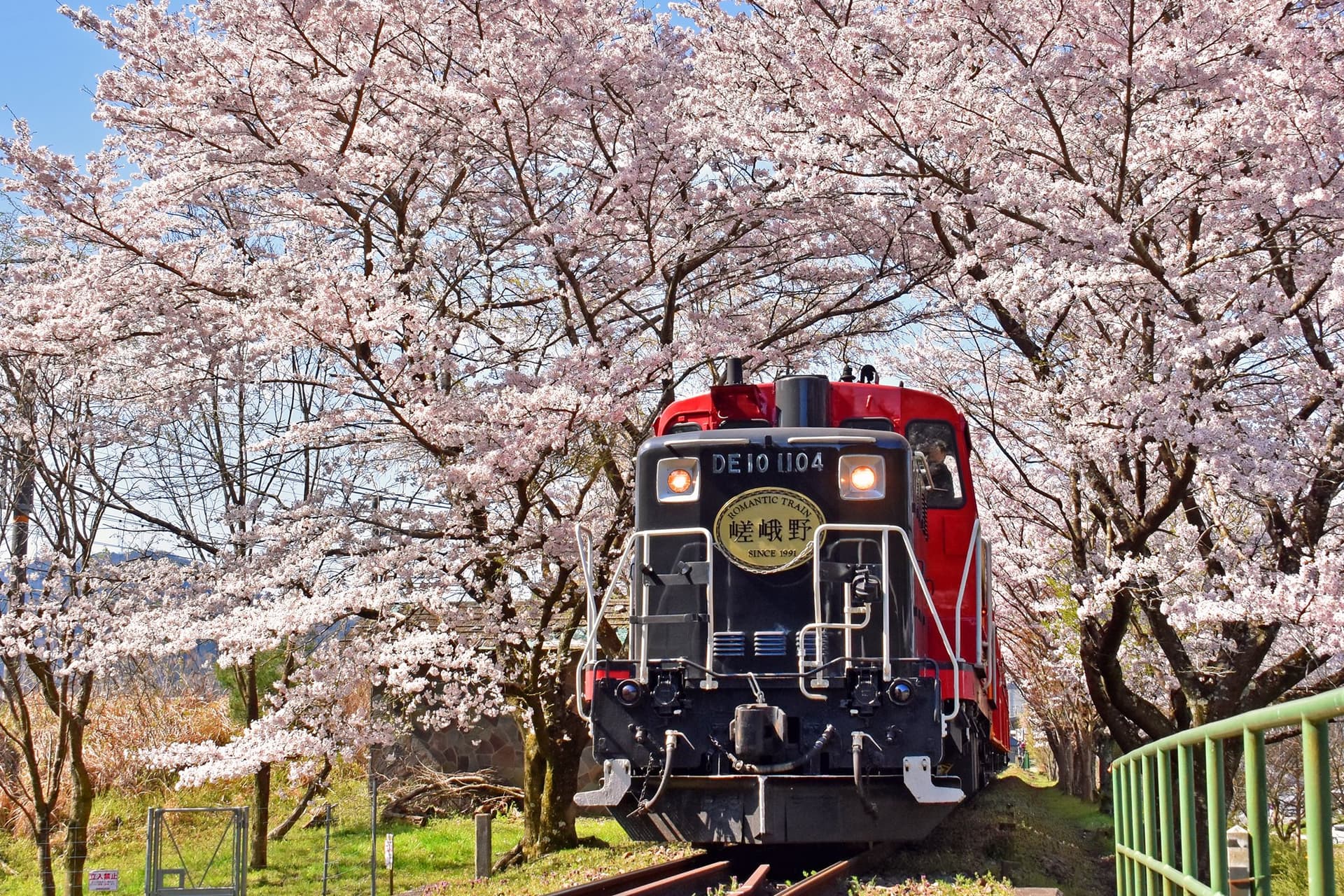 Sagano Romantic Train - تصویر 13