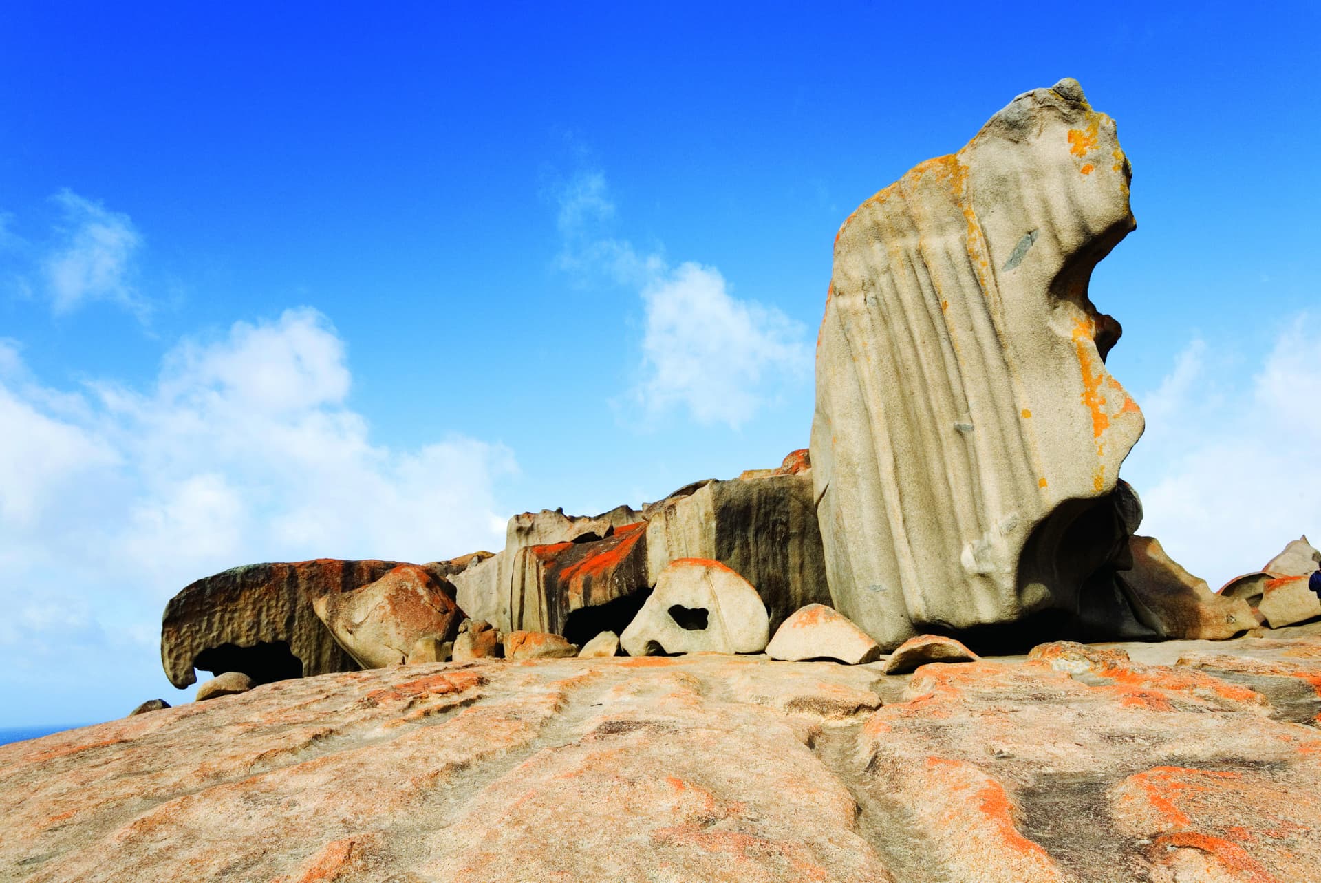 Kangaroo Island Tour from Adelaide - تصویر 7