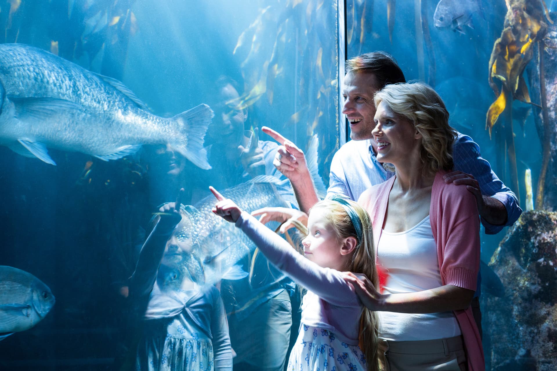 Go City Chicago All-Inclusive Pass: Save up to 50% on Attractions - تصویر 3