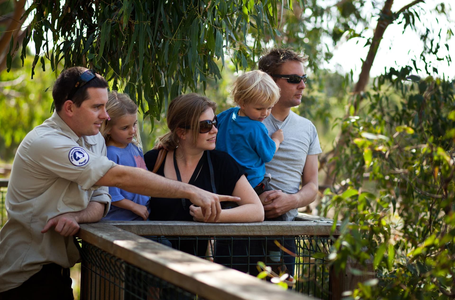 Phillip Island Nature Parks - Koala Conservation Reserve Ticket - تصویر 4