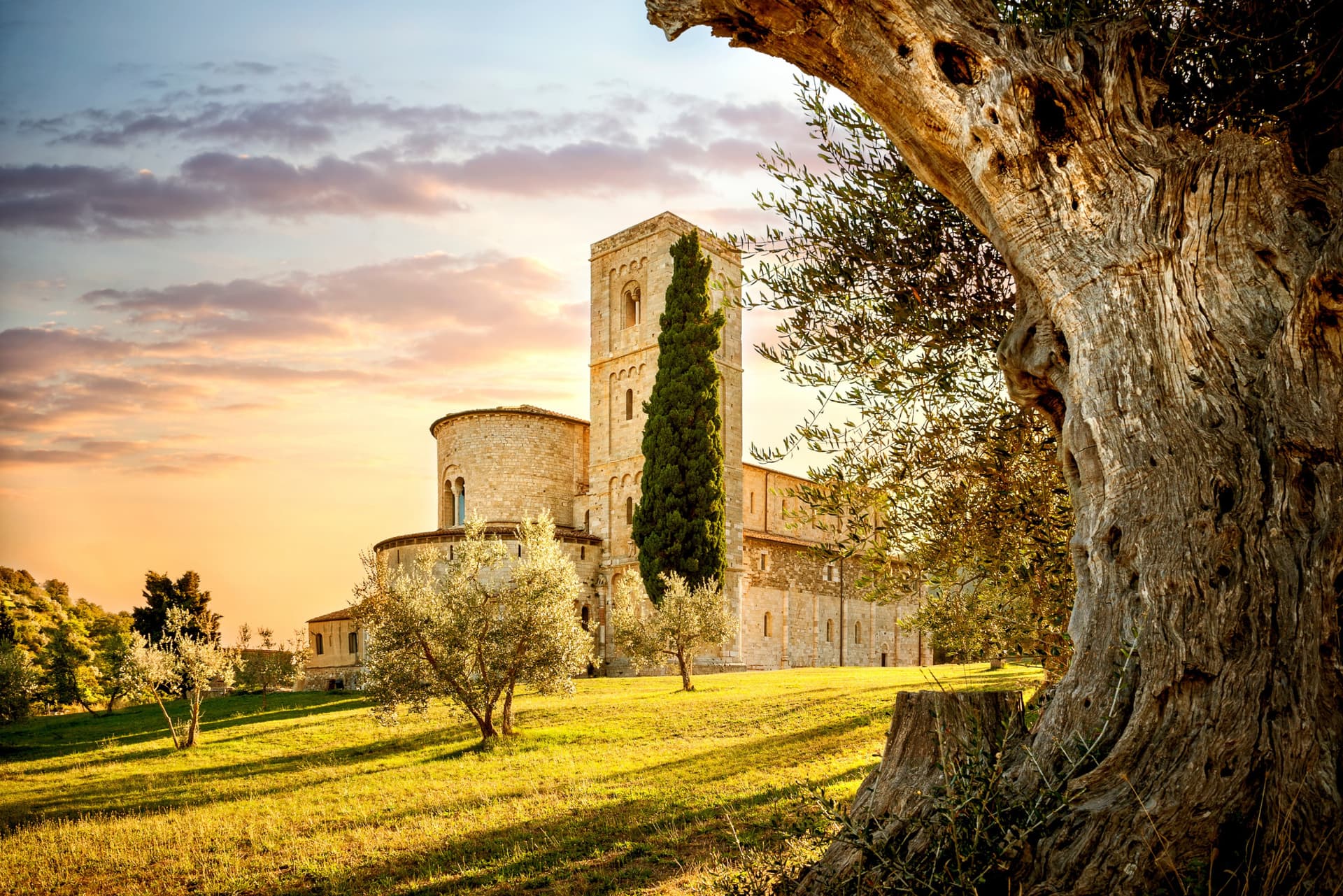 Medieval Tuscany Tour from Florence: Monteriggioni, Montalcino, Pienza - تصویر 3