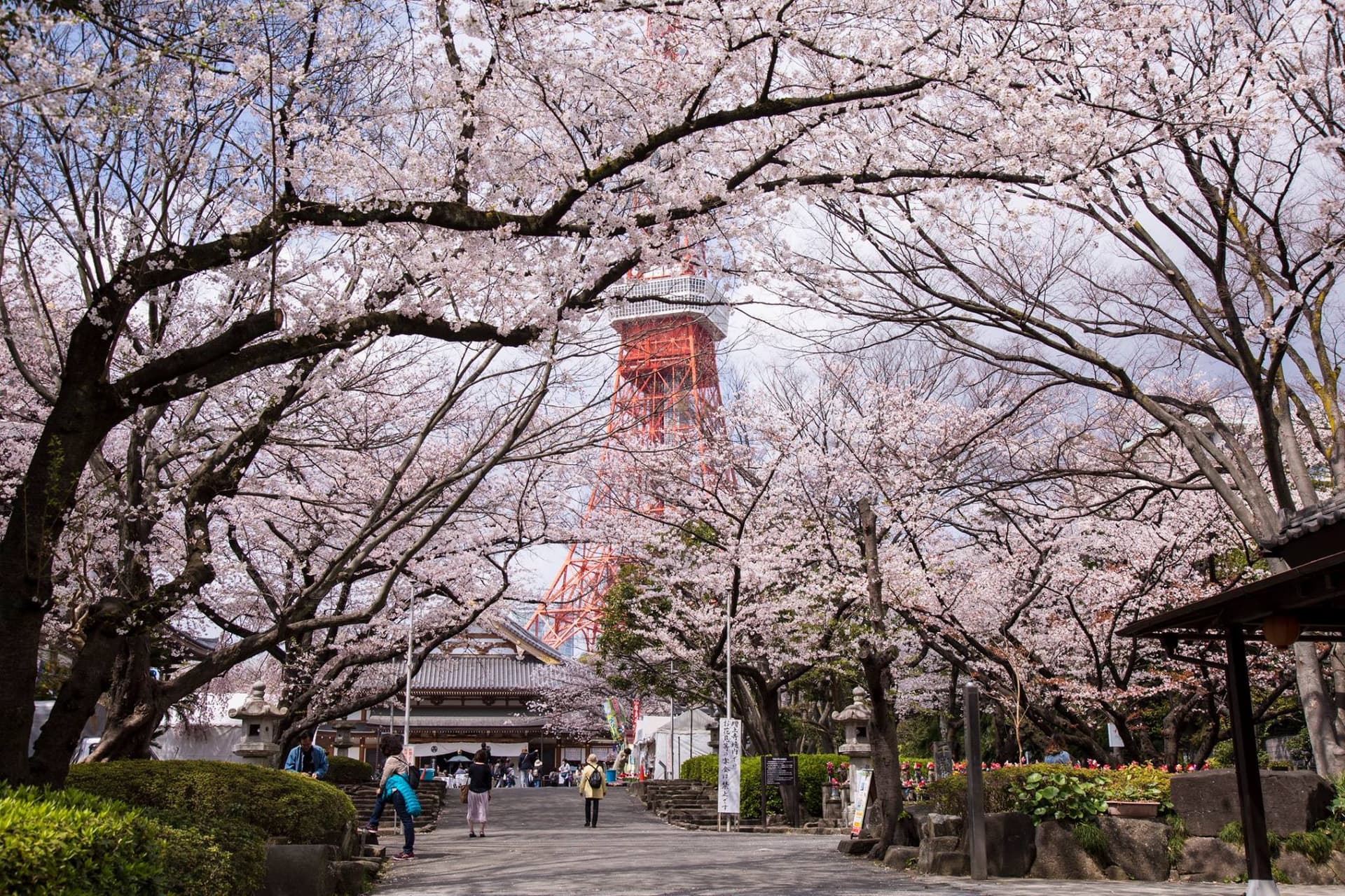 Tokyo Tower Ticket - تصویر 3