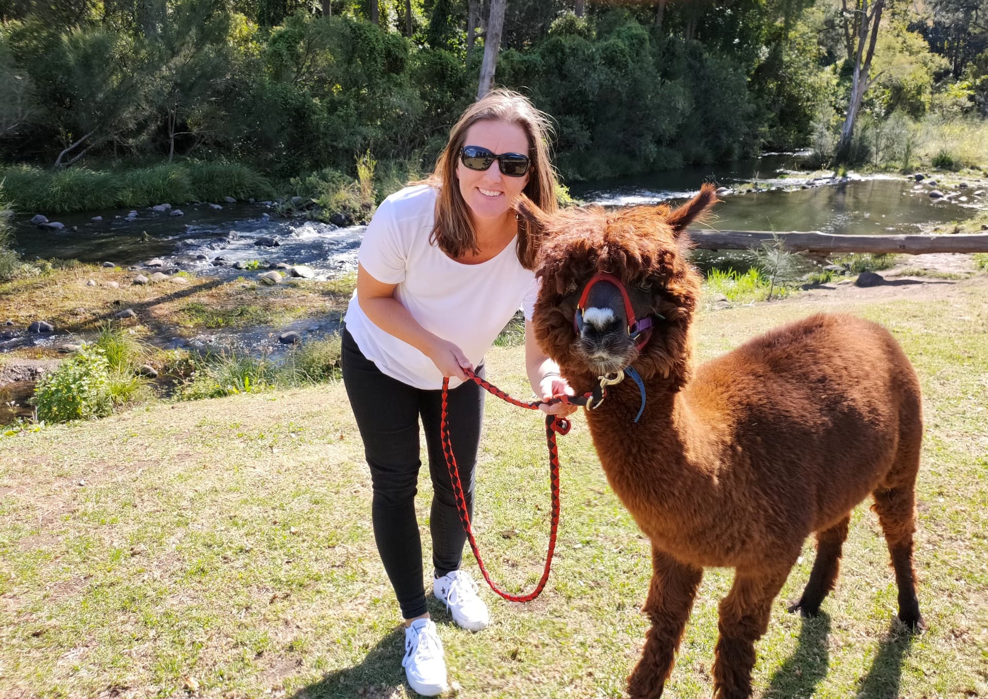 Lamington National Park Tour: O'Reilly's Rainforest Retreat and Canungra Valley Vineyard - تصویر 13