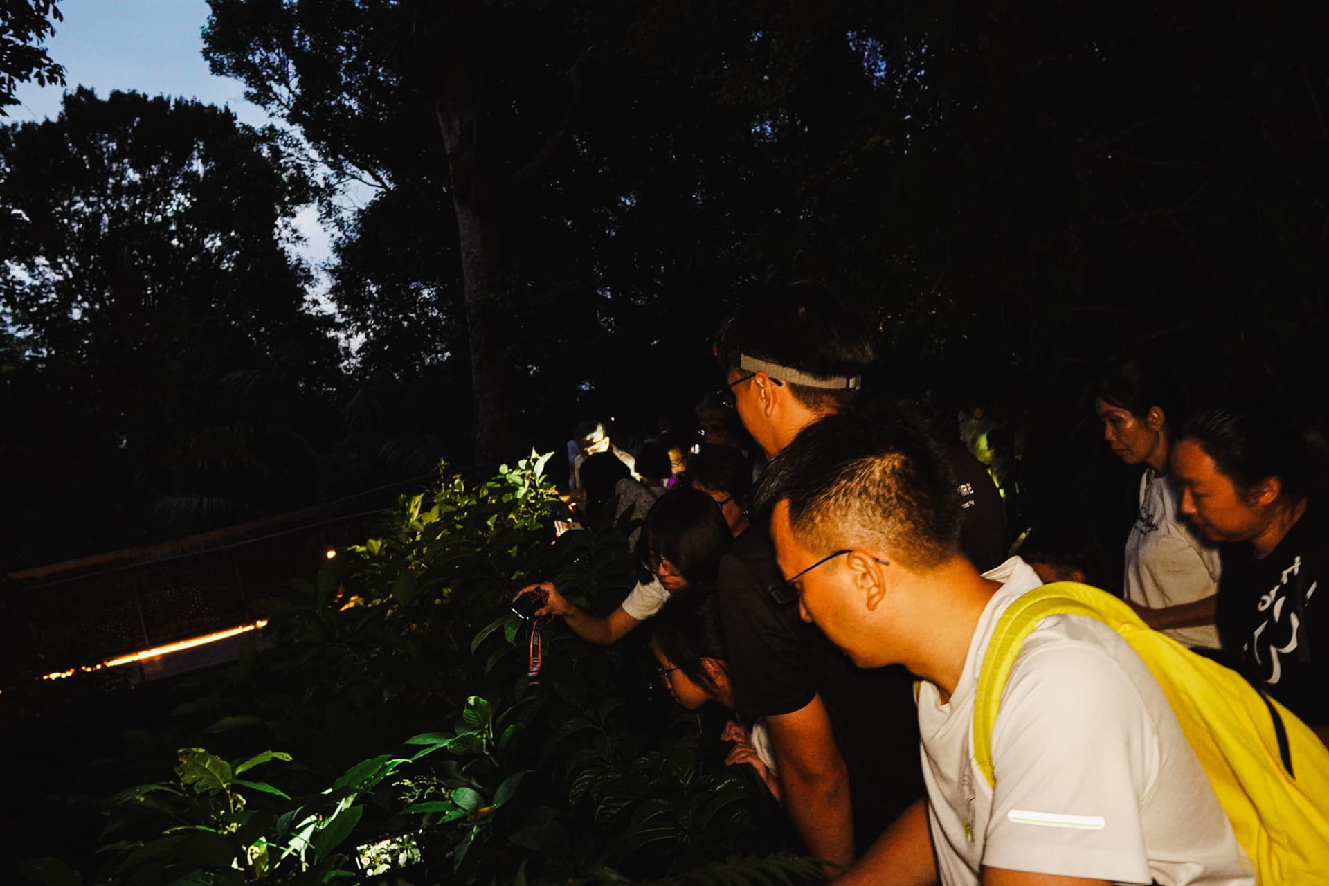 The Habitat Penang Hill Ticket - تصویر 26