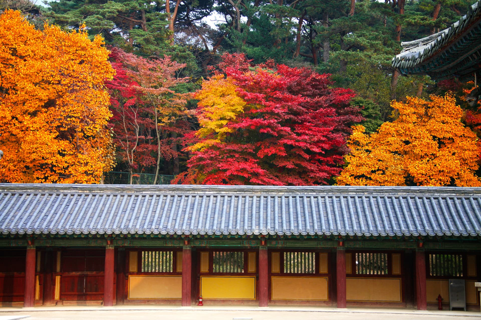 Gyeongju Autumn Foliage One Day Tour from Busan - تصویر 9
