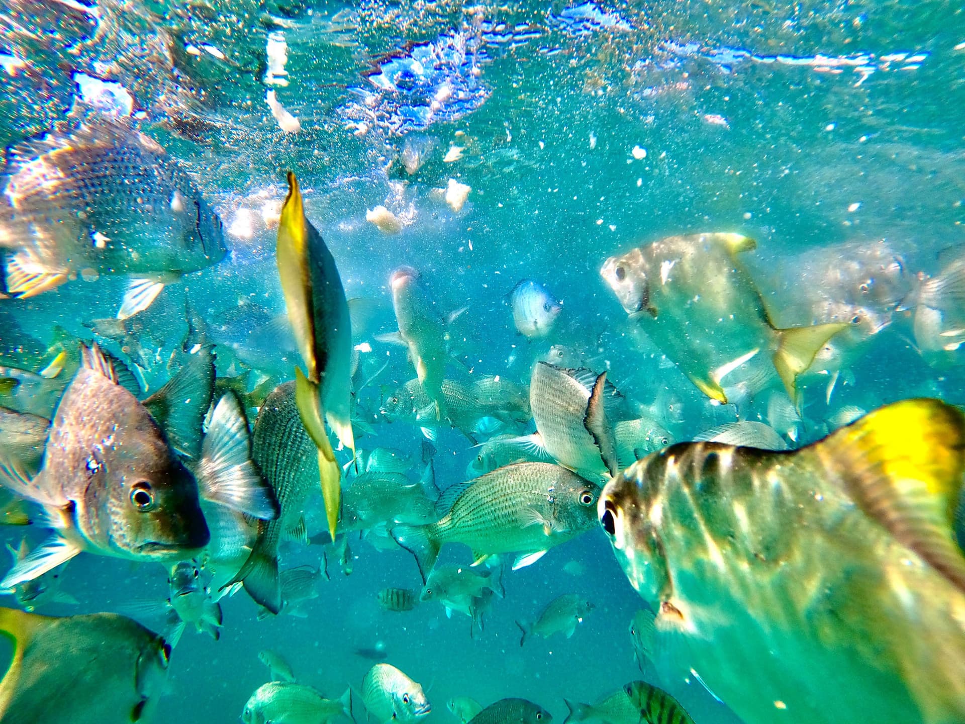 Moreton Island 1-Day Adventure Tour with Kayaking and Sandboarding - تصویر 15
