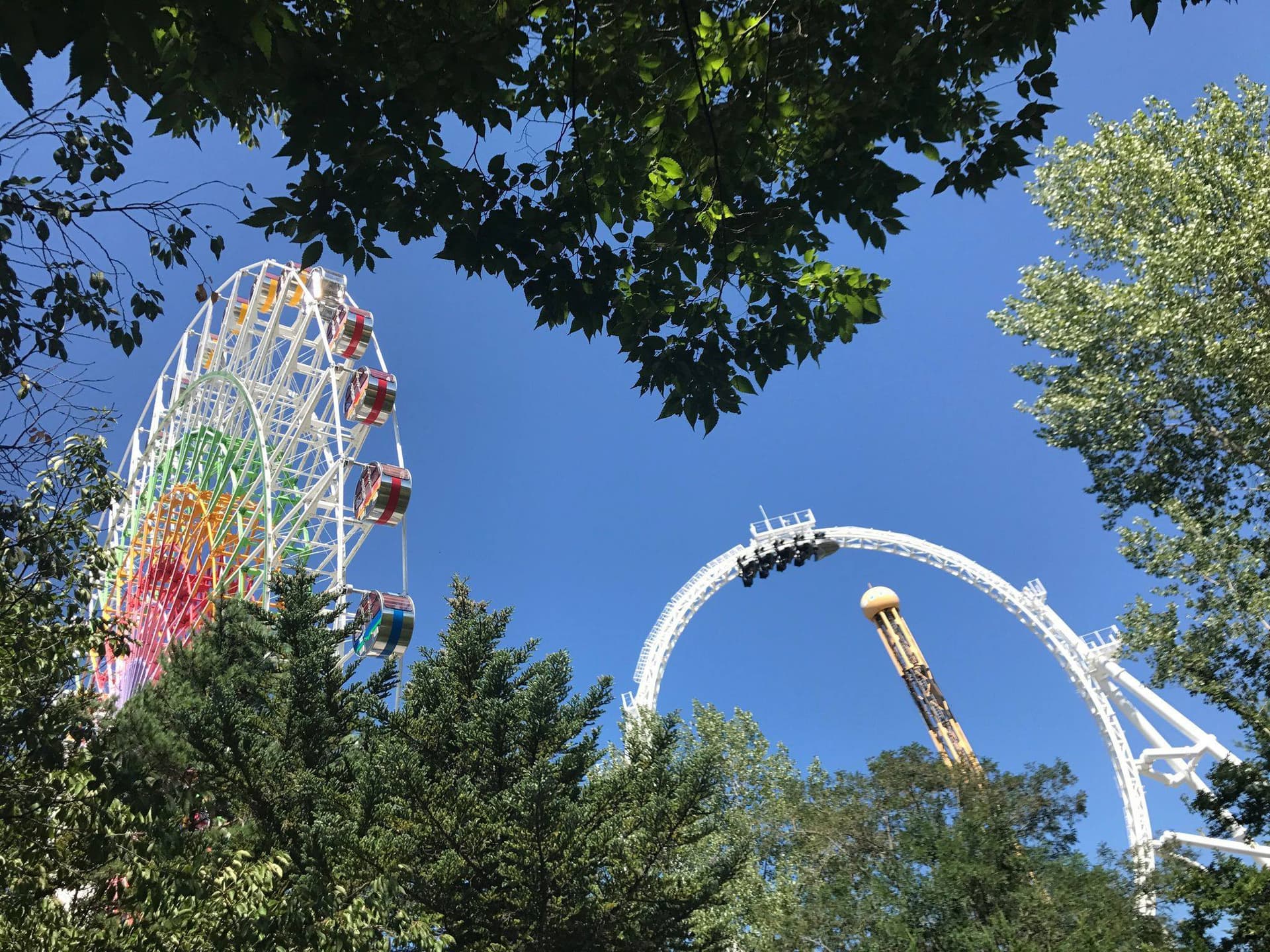 Fuji-Q Highland Pass - تصویر 9