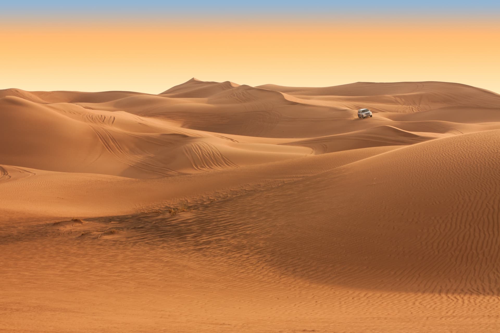 Liwa Desert Safari Tour - تصویر اصلی