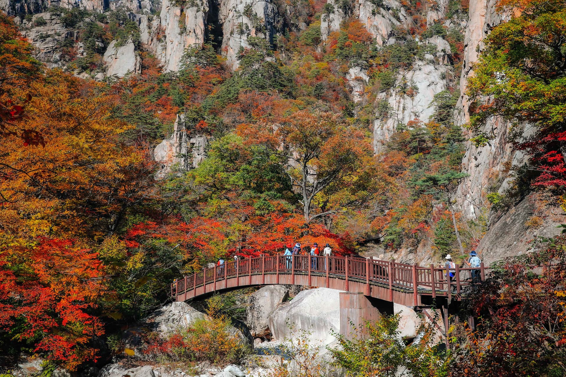Nami Island and Mount Seorak Full-Day Tour from Seoul - تصویر اصلی