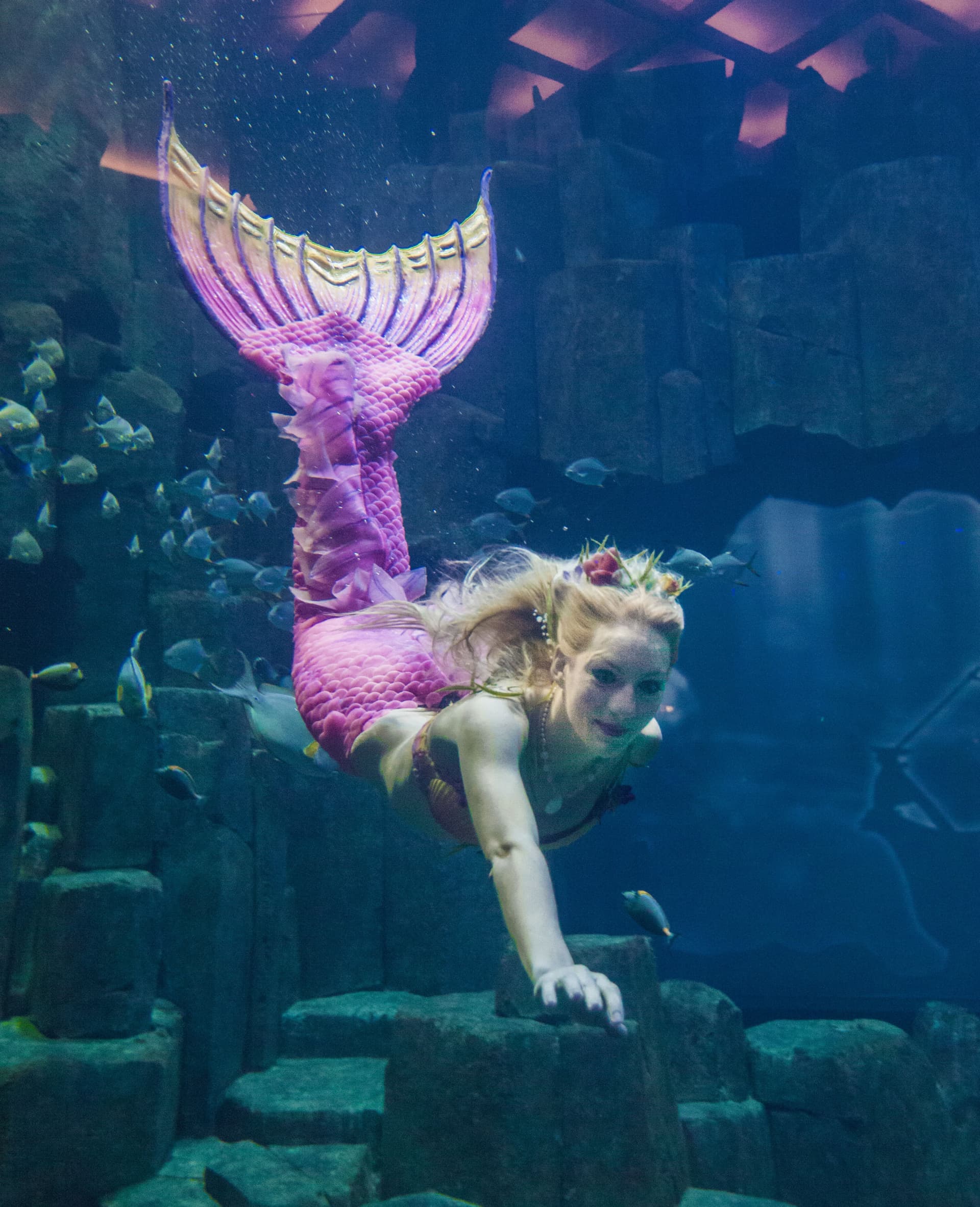 Aquarium de Paris - تصویر 6