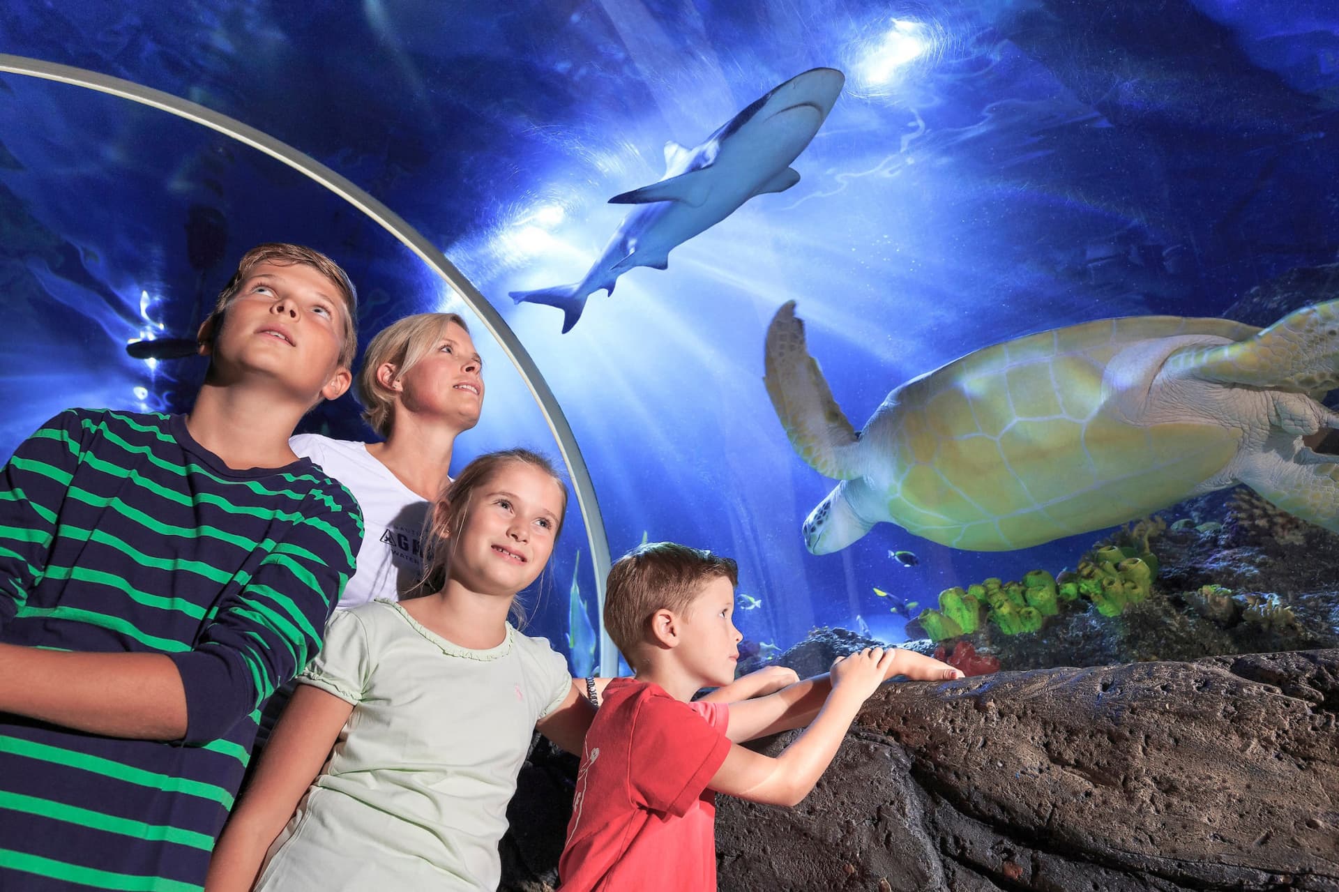 SEA LIFE Timmendorfer Strand Aquarium Ticket - تصویر 7