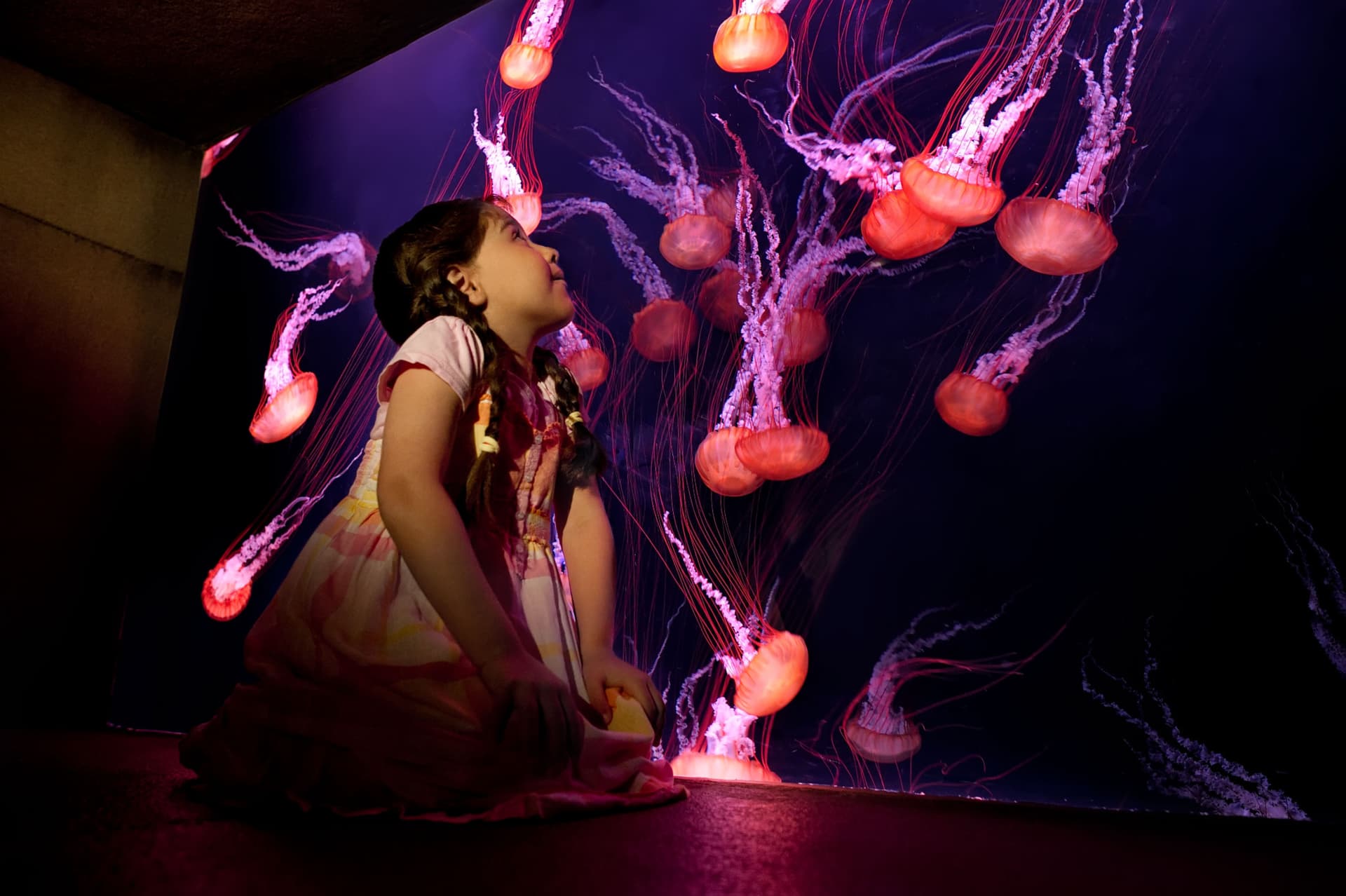 Atlantis Aquaventure World Dubai - The Lost World Aquarium Ticket - تصویر 7