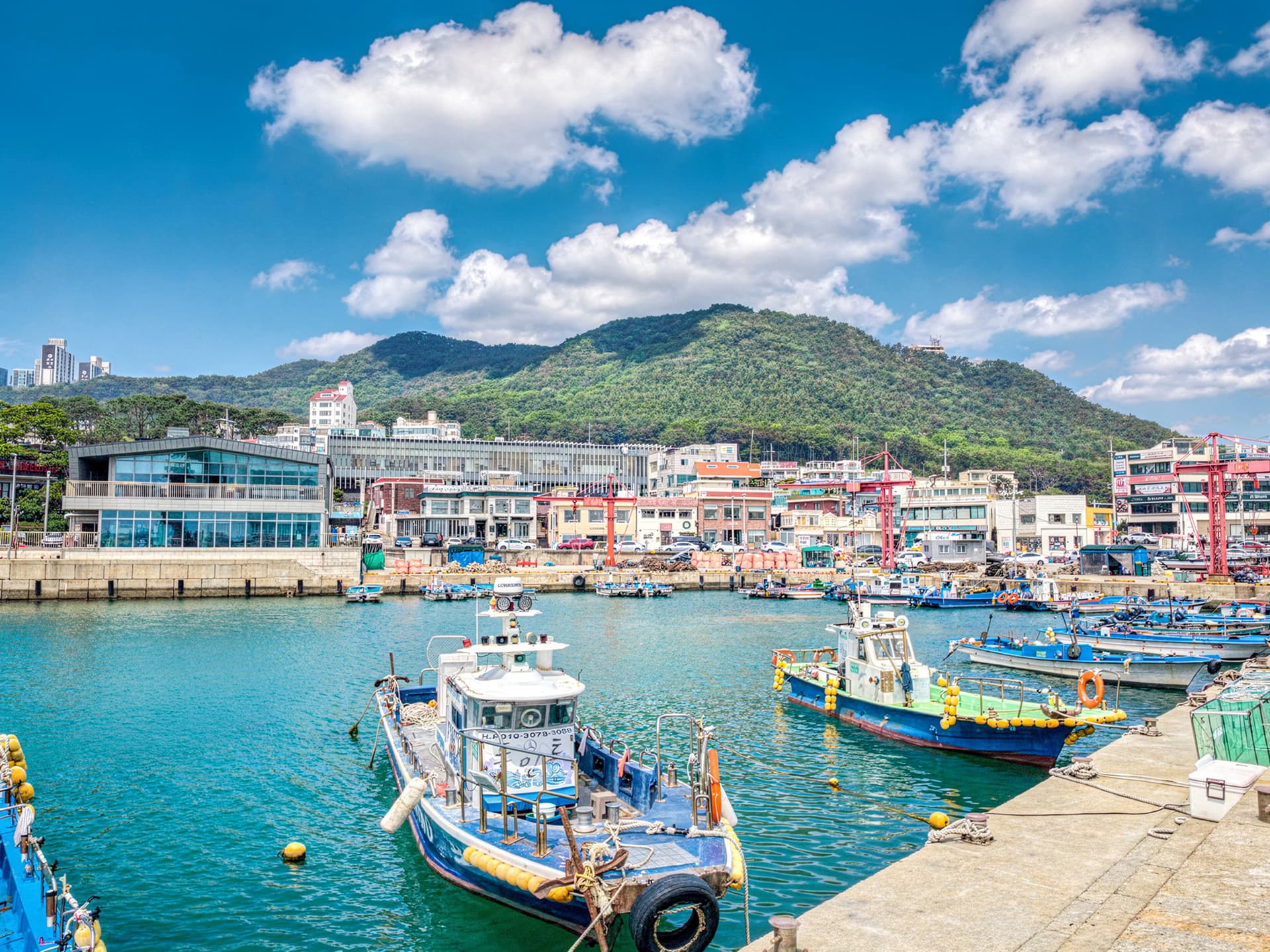 One Day Cultural Tour in Busan: Haedongyonggungsa Temple, Cheongsapo, Gamcheon Culture Village - تصویر 4