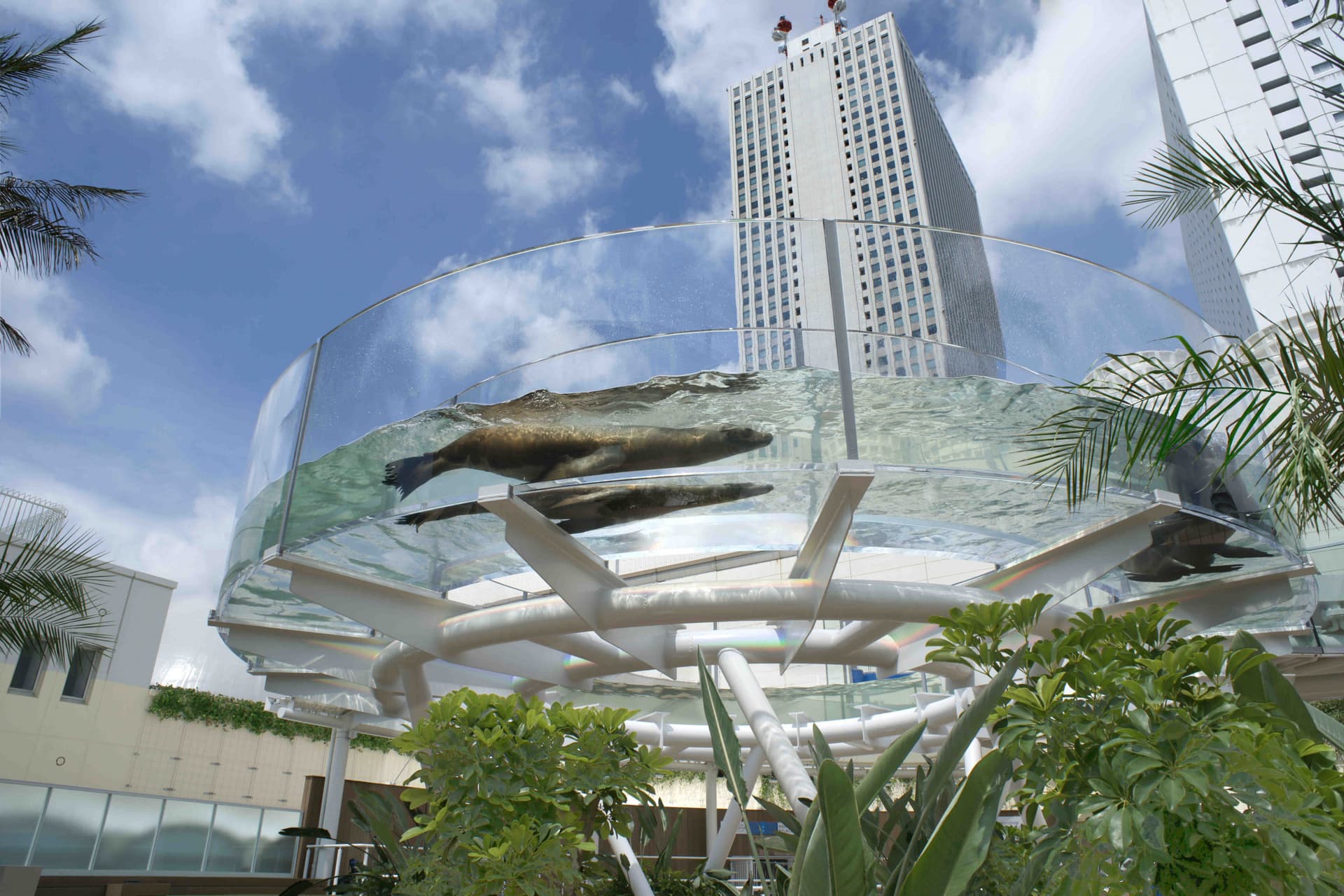 Tokyo Sunshine Aquarium - تصویر 5